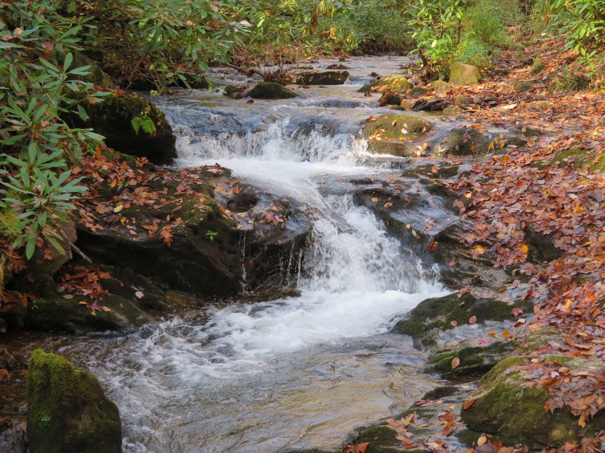 Close up of cascade along Kimsey Creek