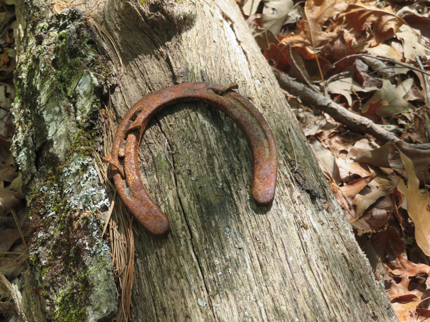 Horseshoe But No Horses This Time