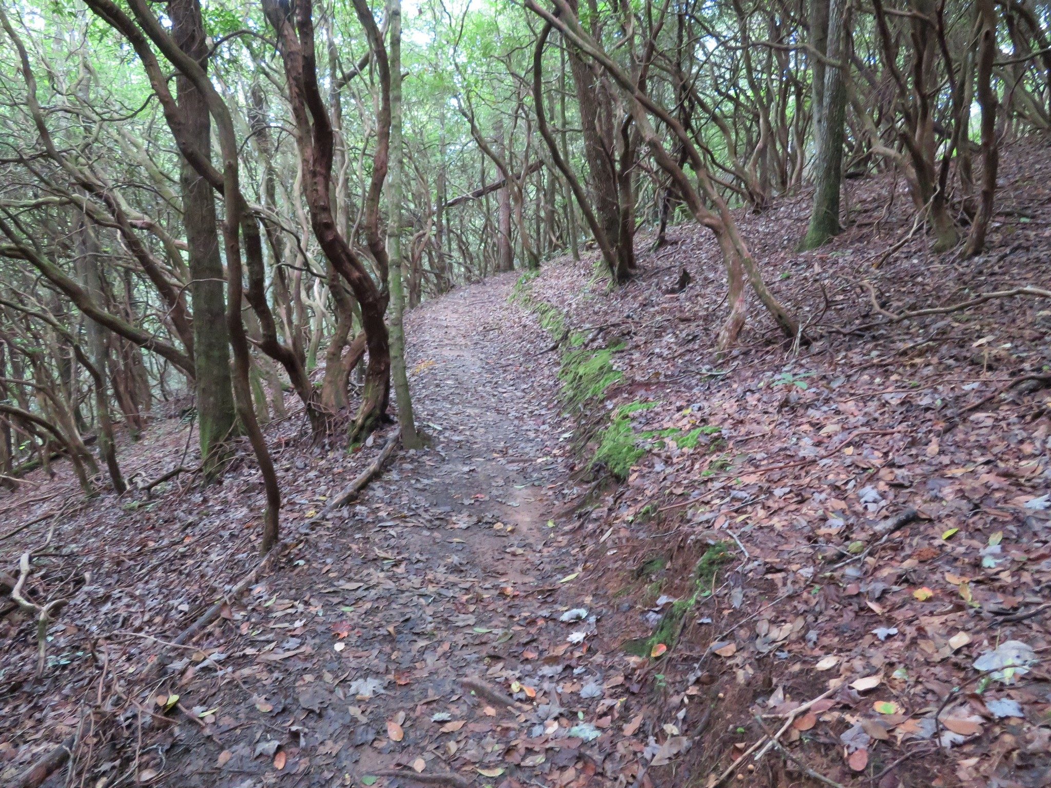 Climb uphill after crossing Justus Creek