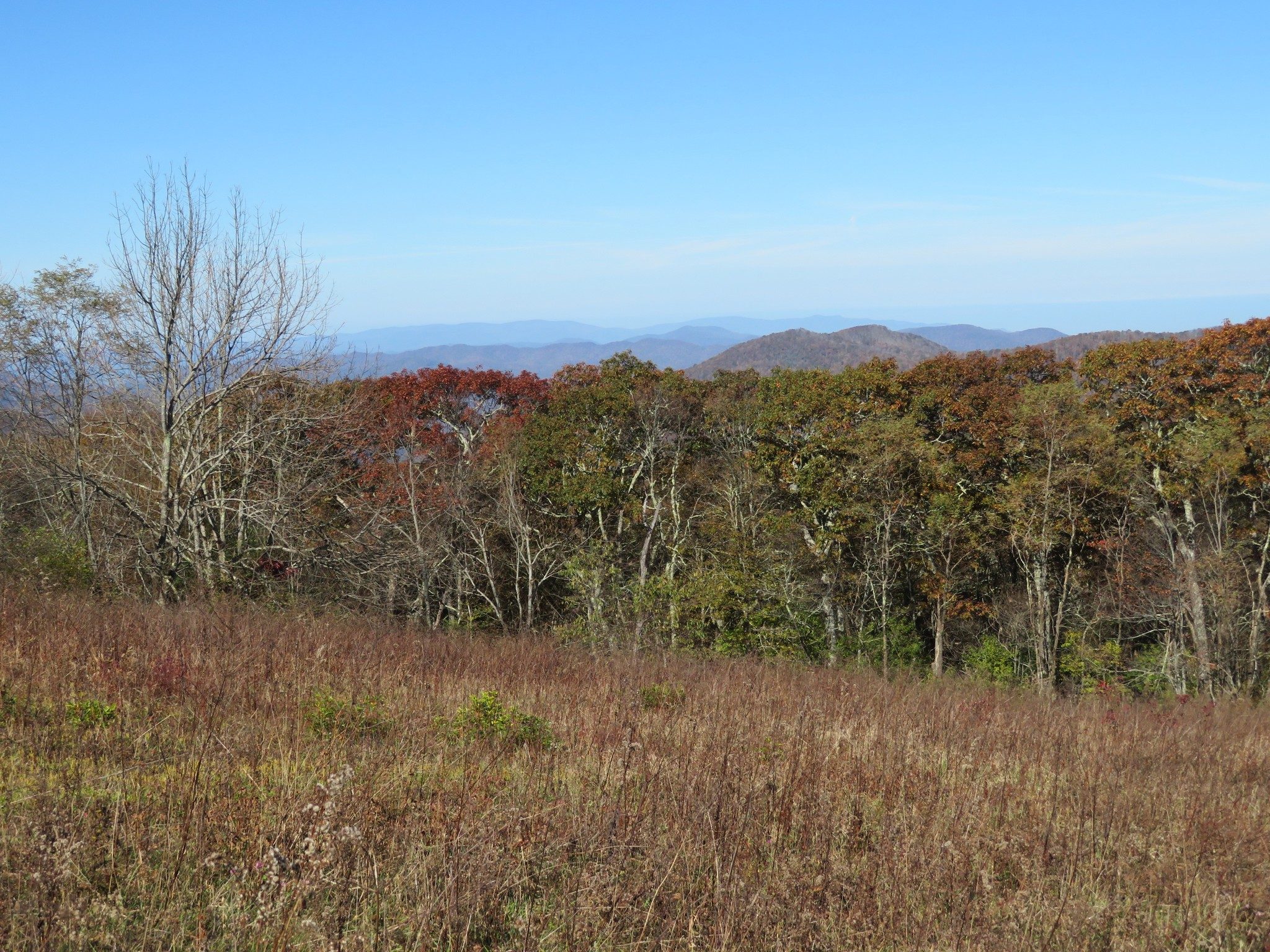 View to Southeast from Siler Bald