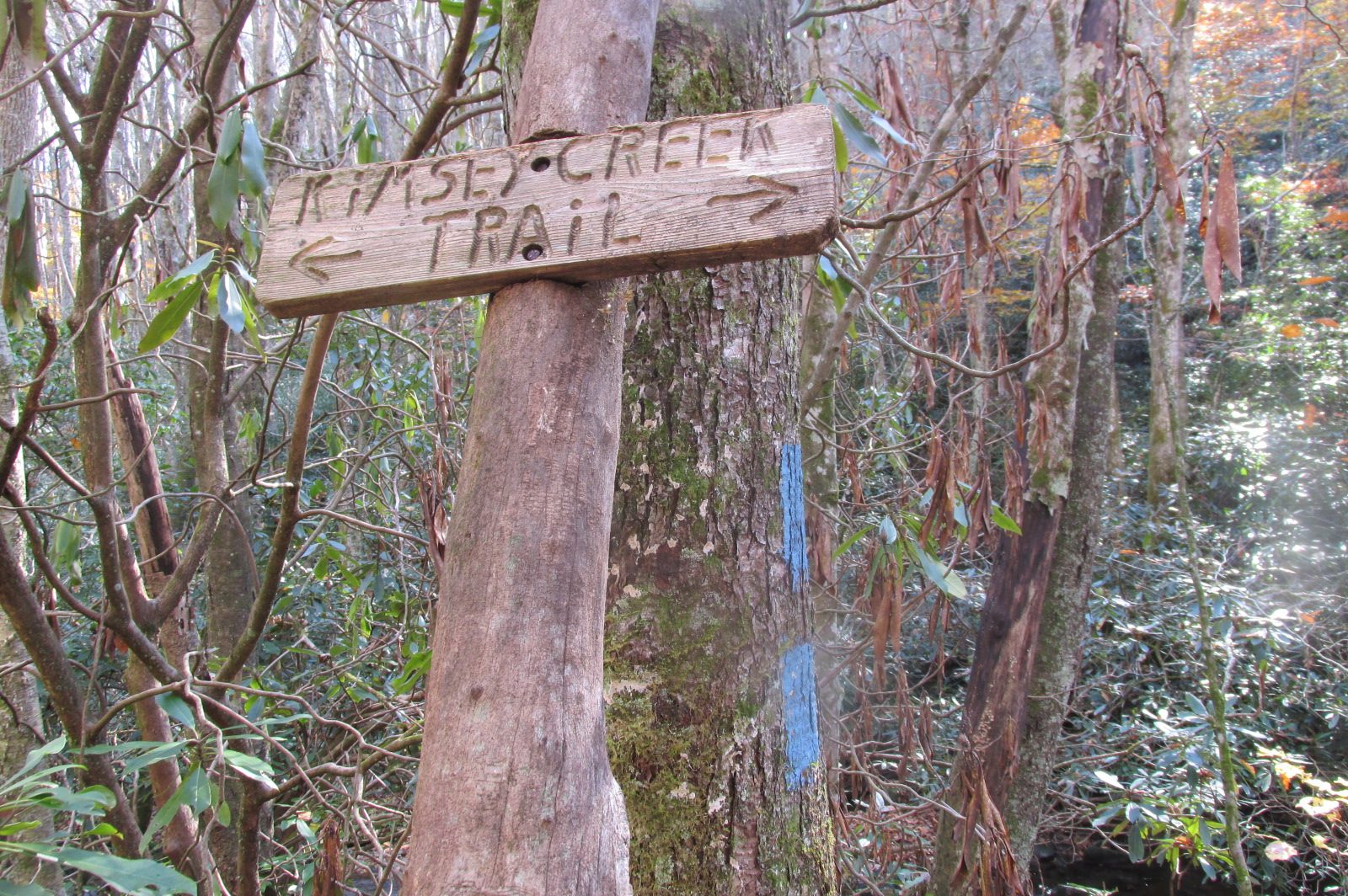 Now, which way should I go?