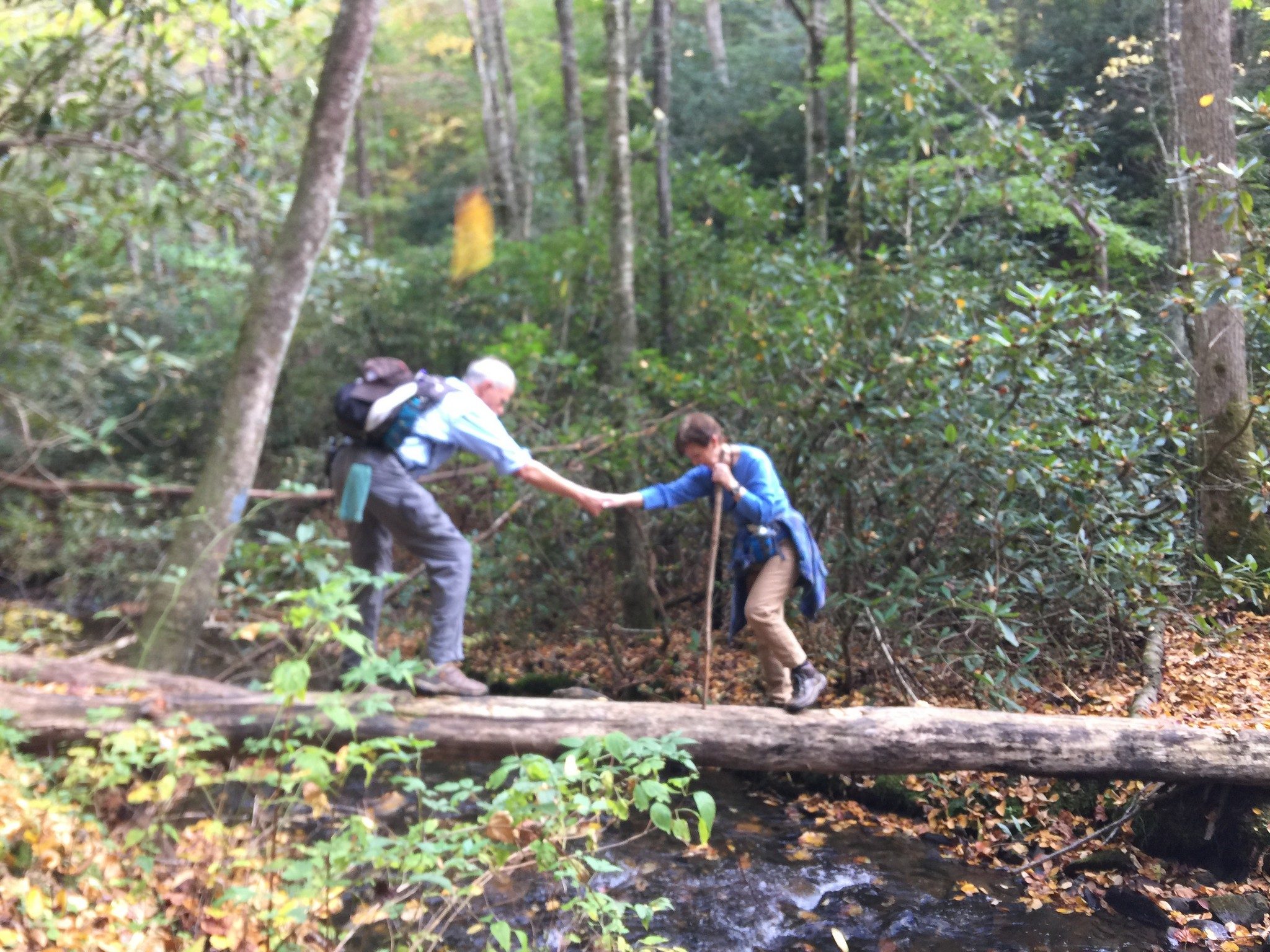A little help in crossing Park Creek on logs