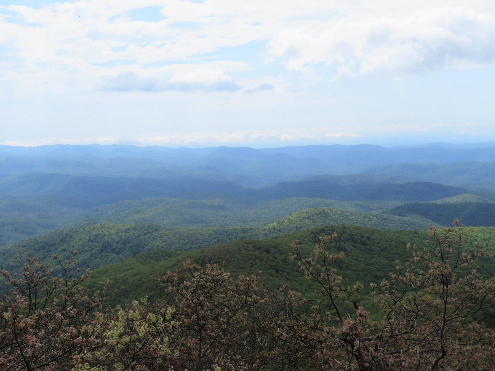 View from the observation tower.