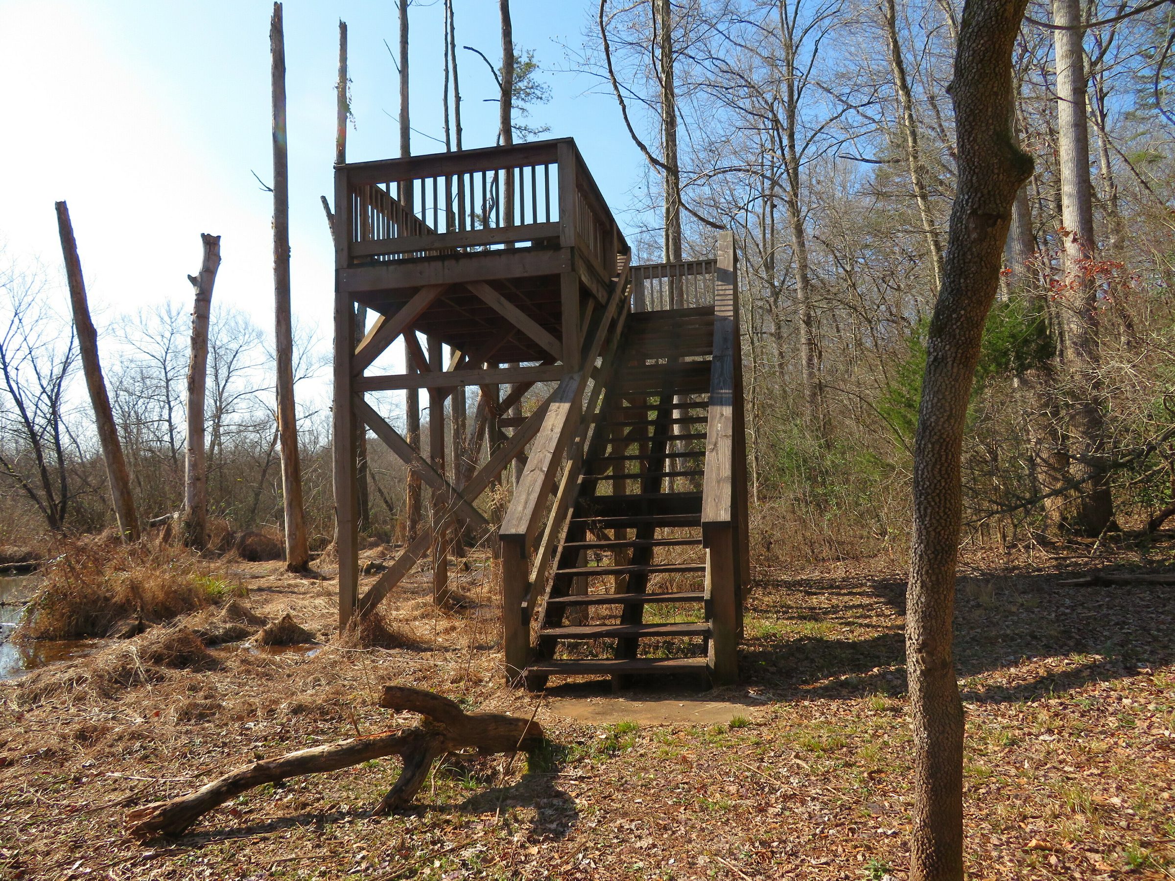 Beaver Dam Overlook