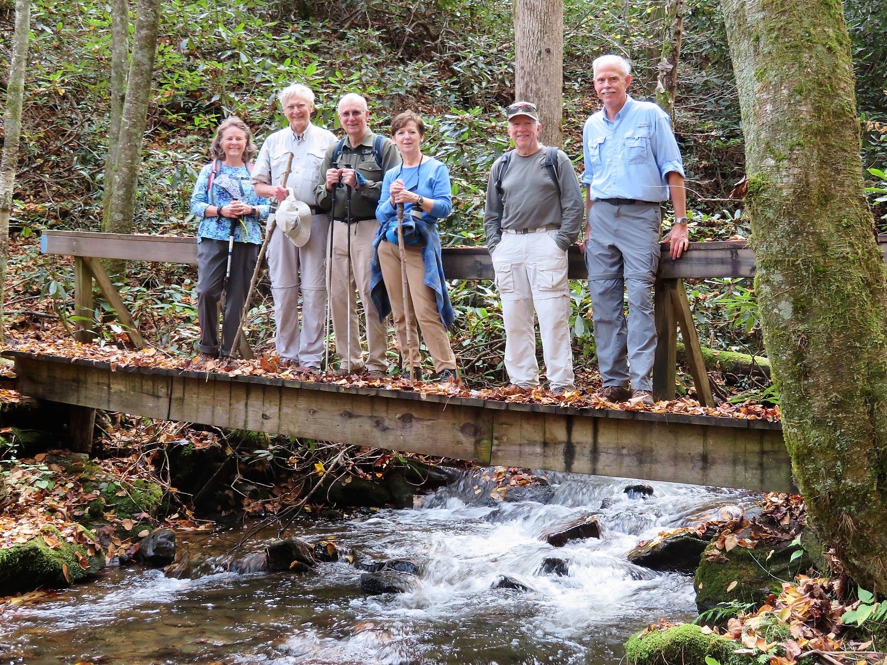 Today's Hikers: Renee, Dick, Ray, Jenny, Vic & Mike