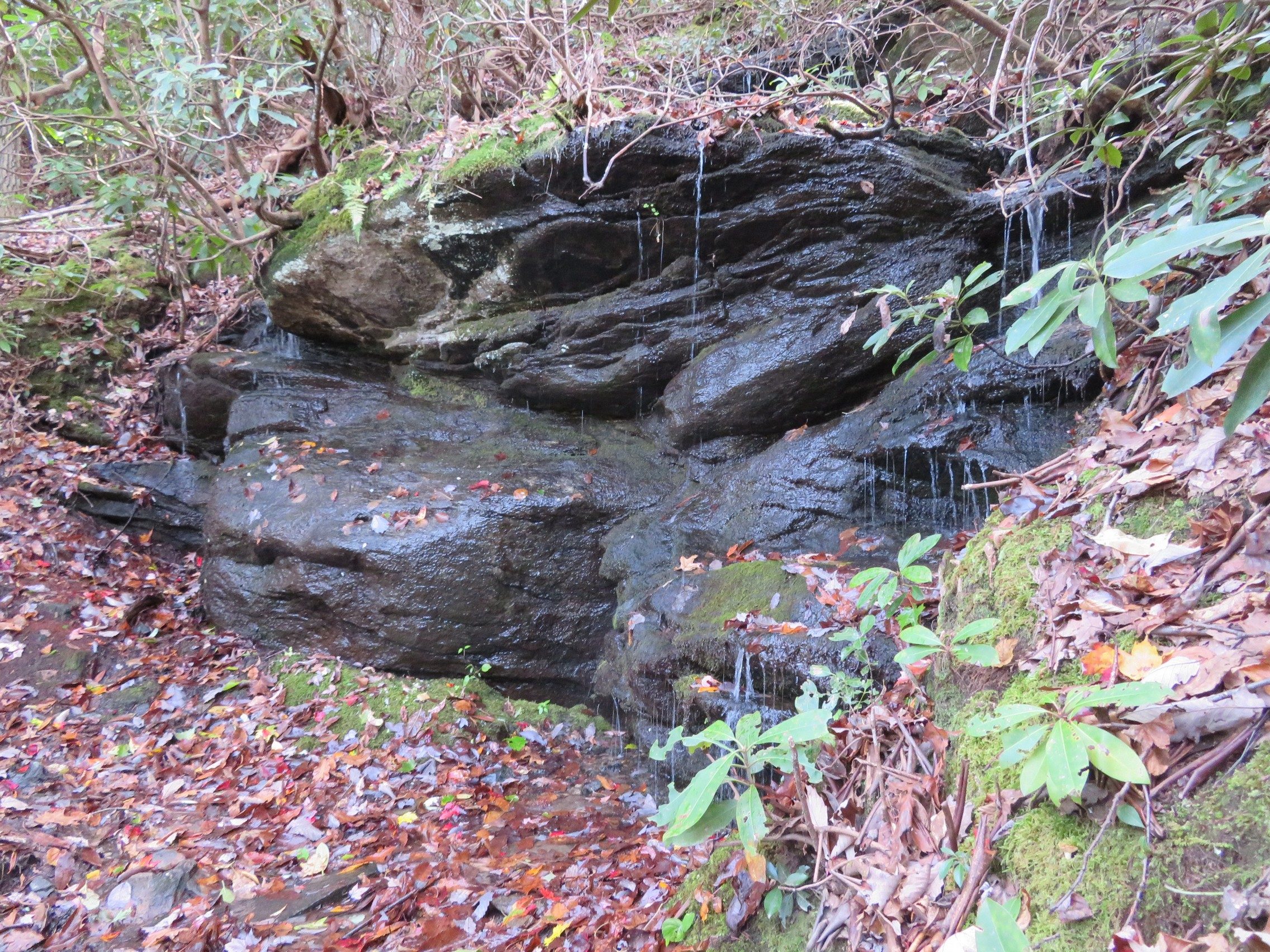 Lots of water flowing along trail from many rock formations and draws