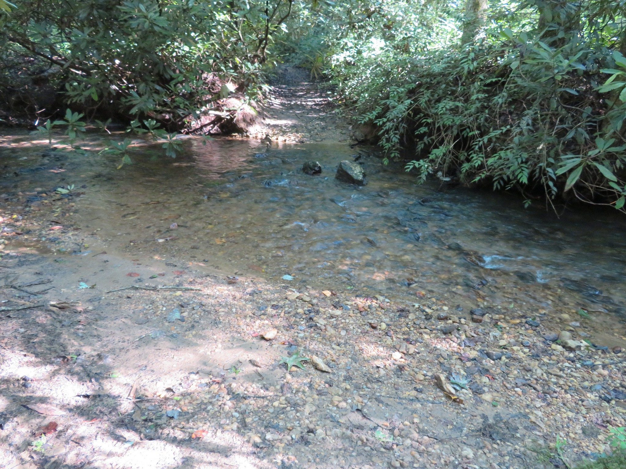 Shallow water crossing at Ash Creek