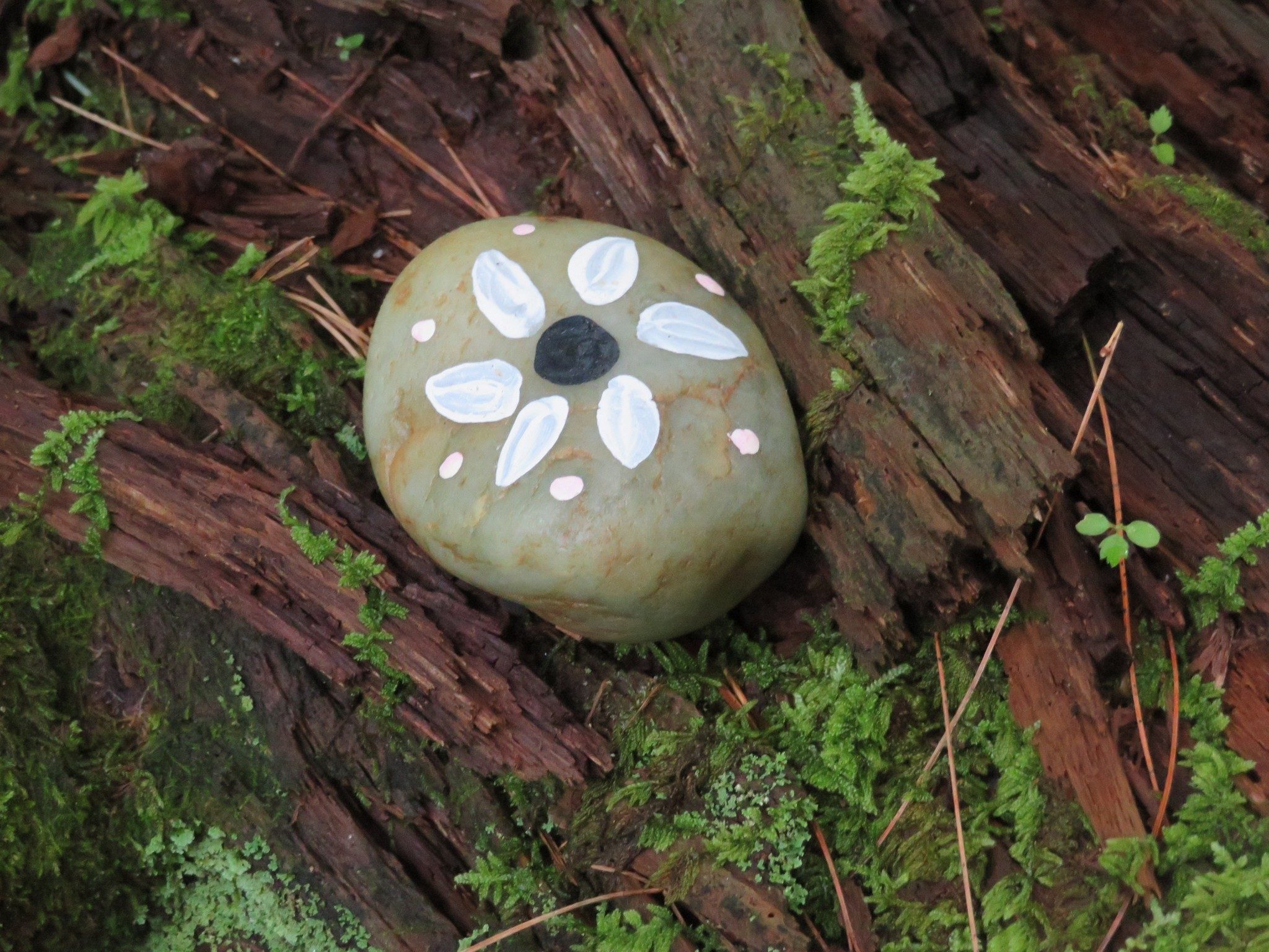 A little rock/trail art found along the way