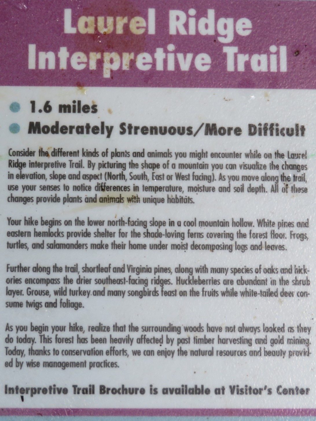 Laurel Ridge Trail Loop Informational Sign