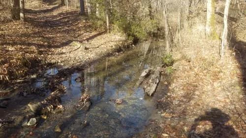 Typical stream crossing in the draw along  Frady Branch