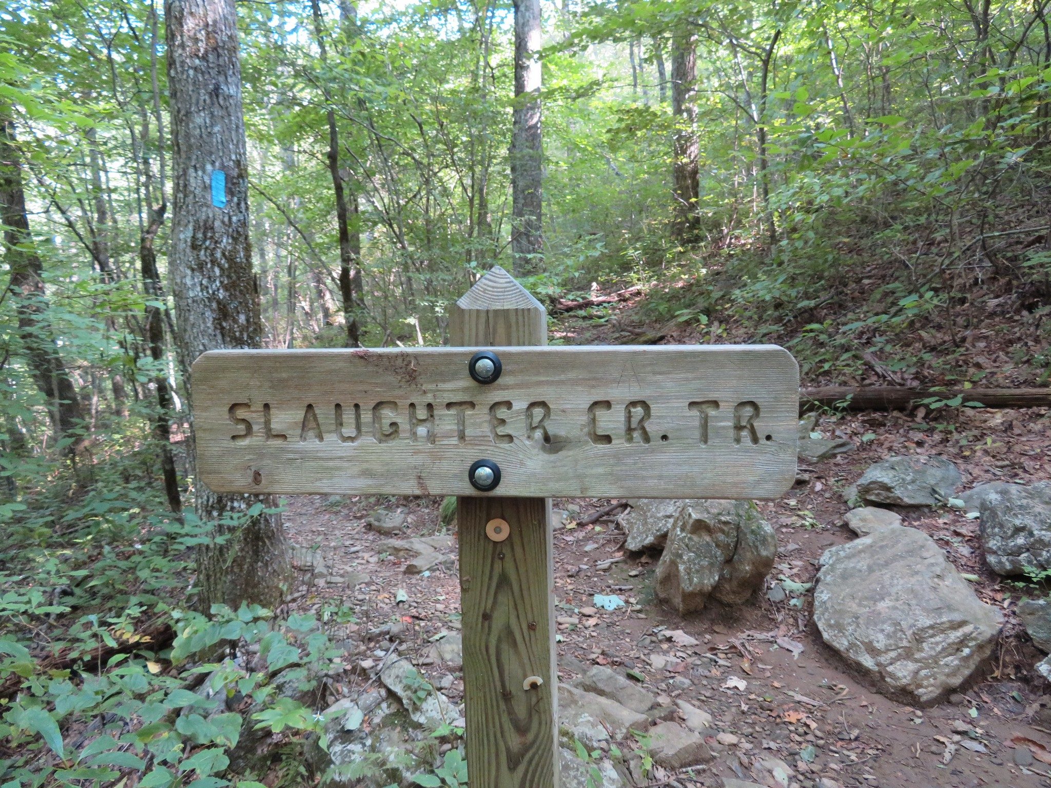 Slaughter Creek Trail marker at turnoff to Blood Mtn.
