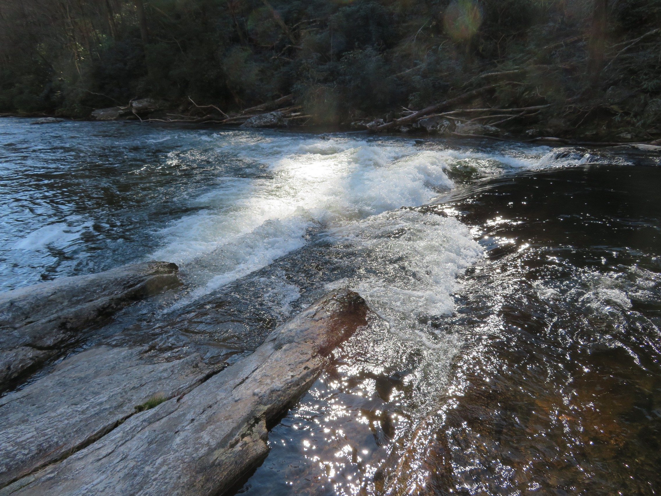 A view of the Chatooga River from our lunch spot
