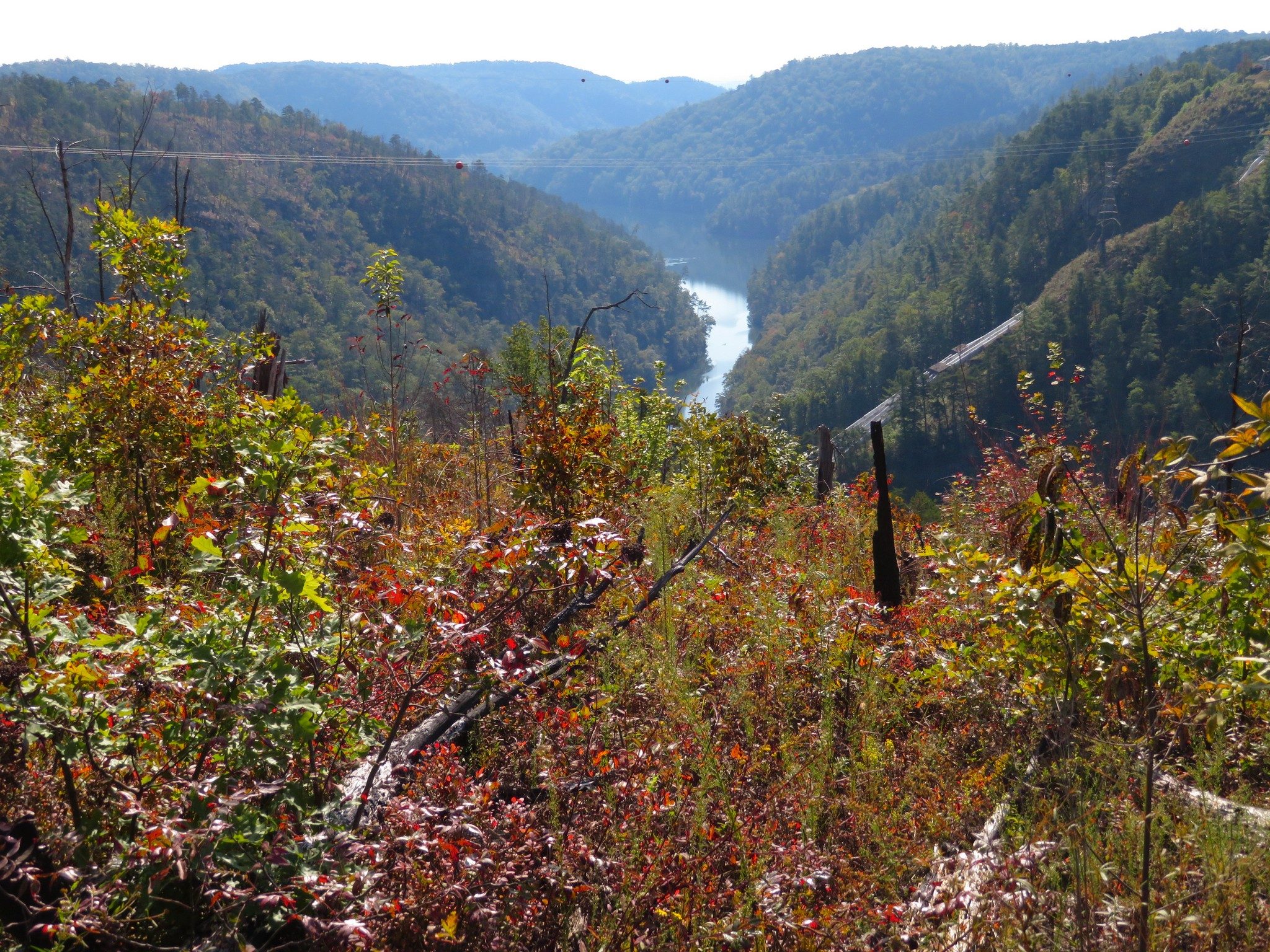 View down the Tallulah River from the High Bluff Trail