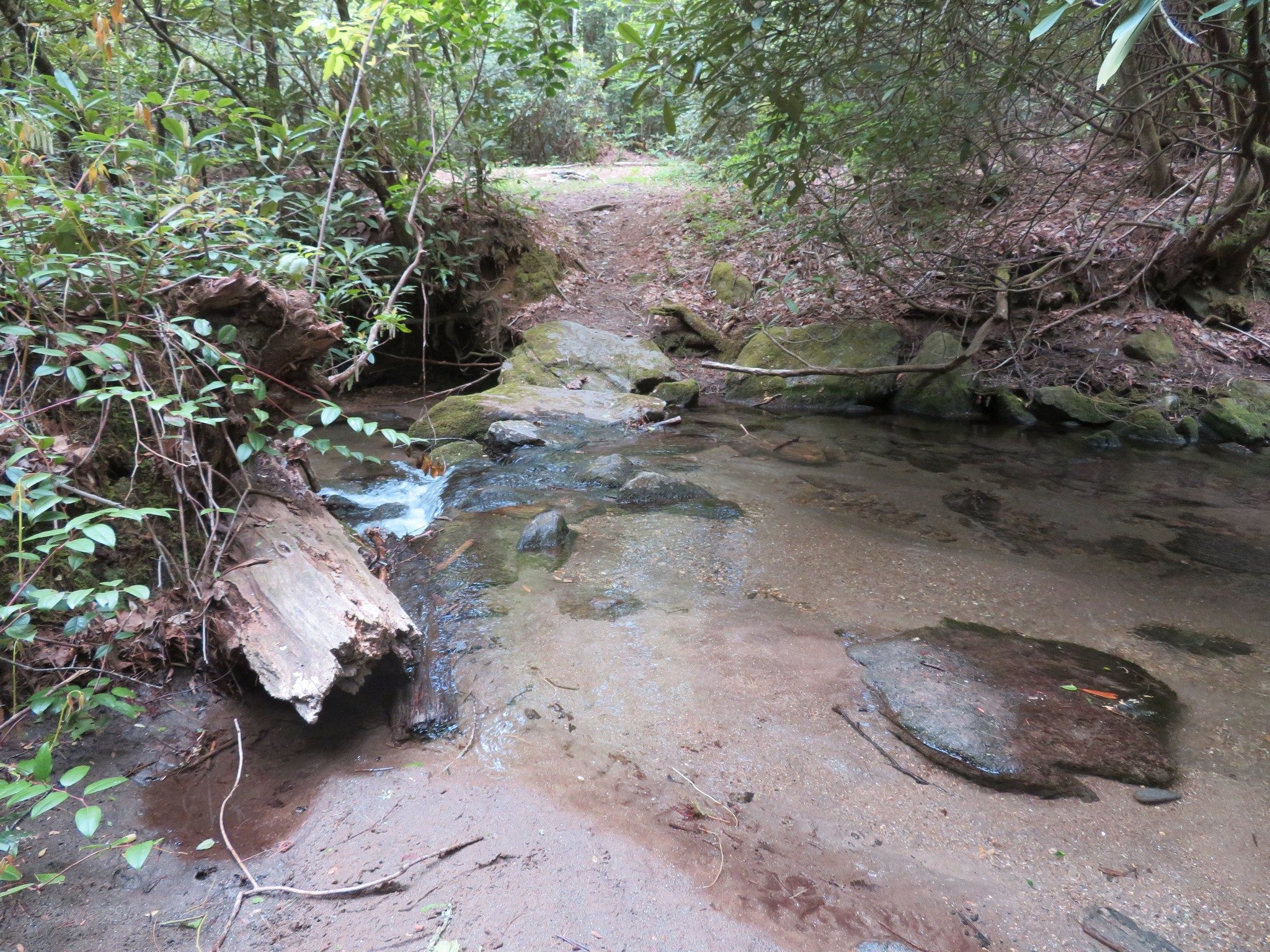 Water Crossing from Hurrah Ridge to West Form Trails over Overflow Creek