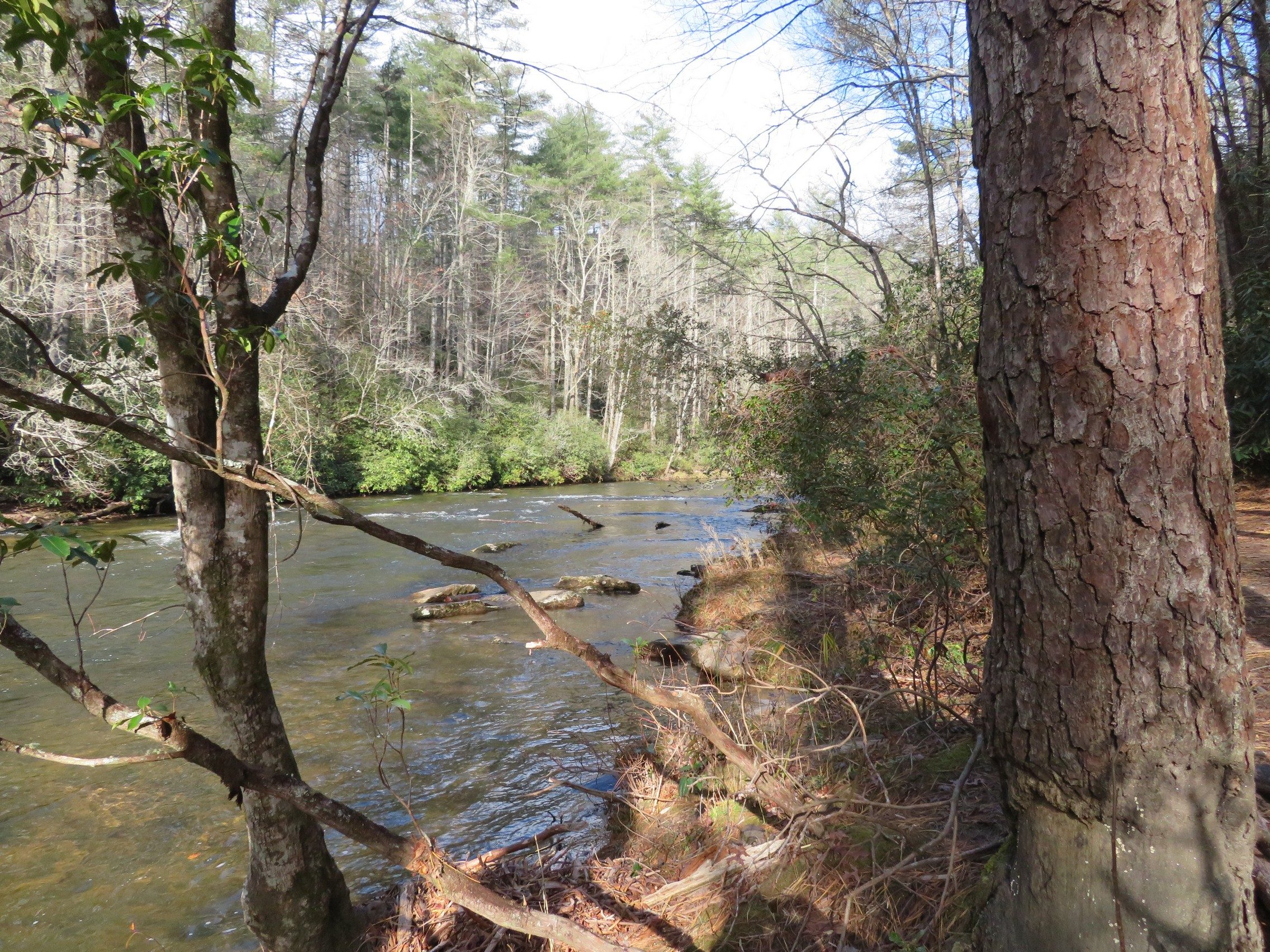 Chatooga River