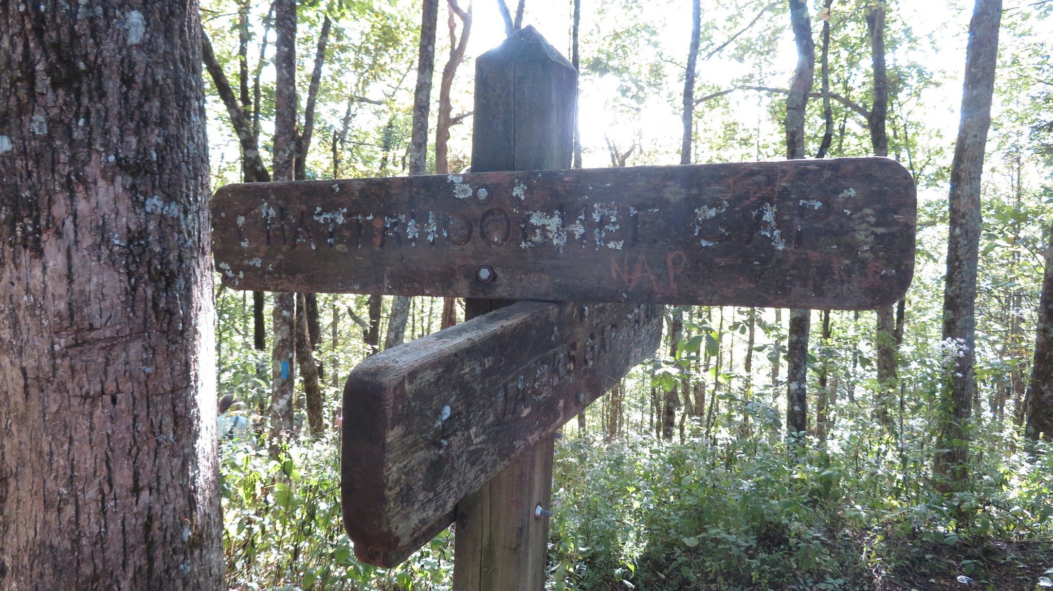 Trail signs at intersection of Jack's Knob Trail and Appalachian Trail