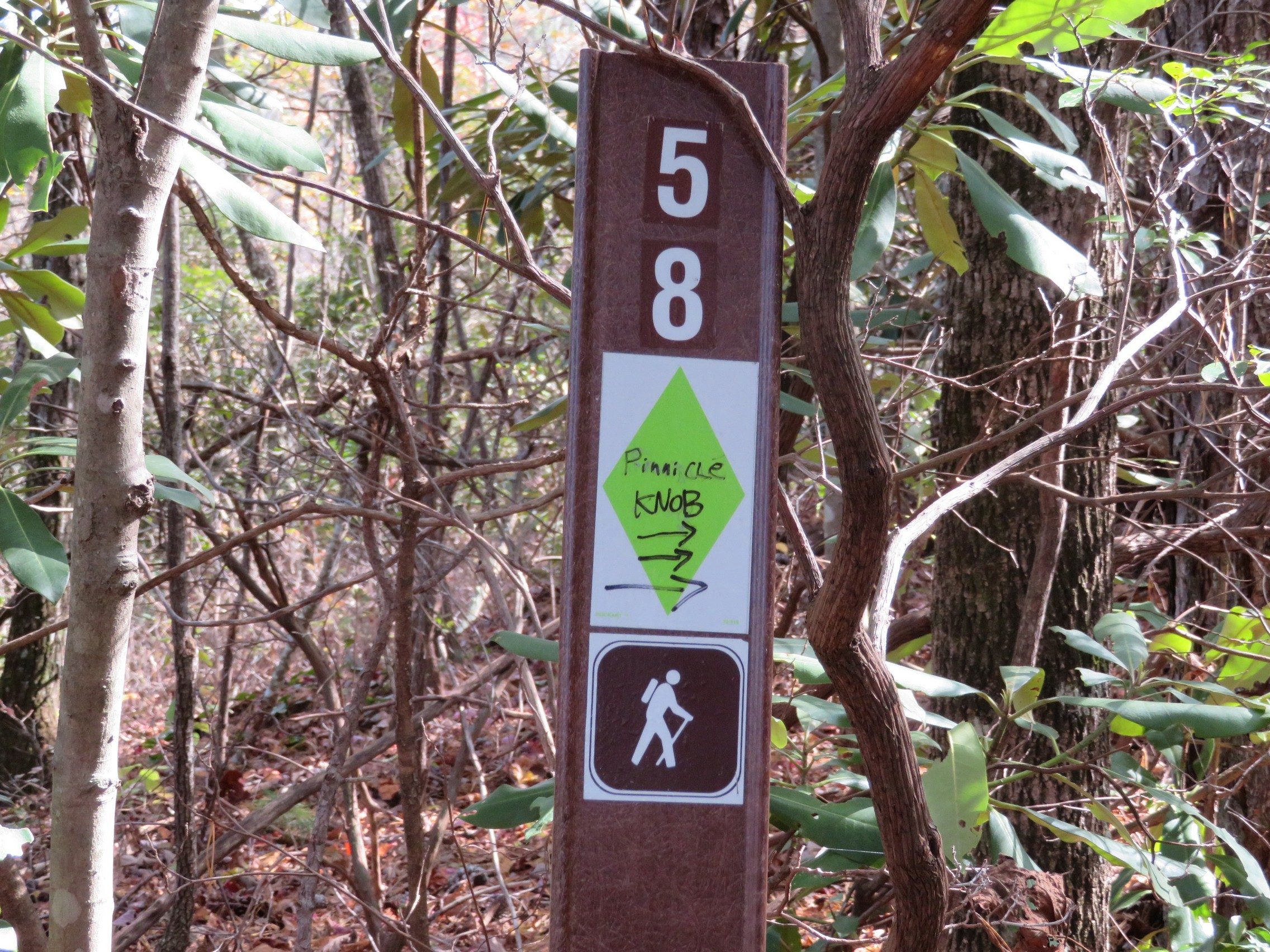 Side trail sign to Pinnacle Knob