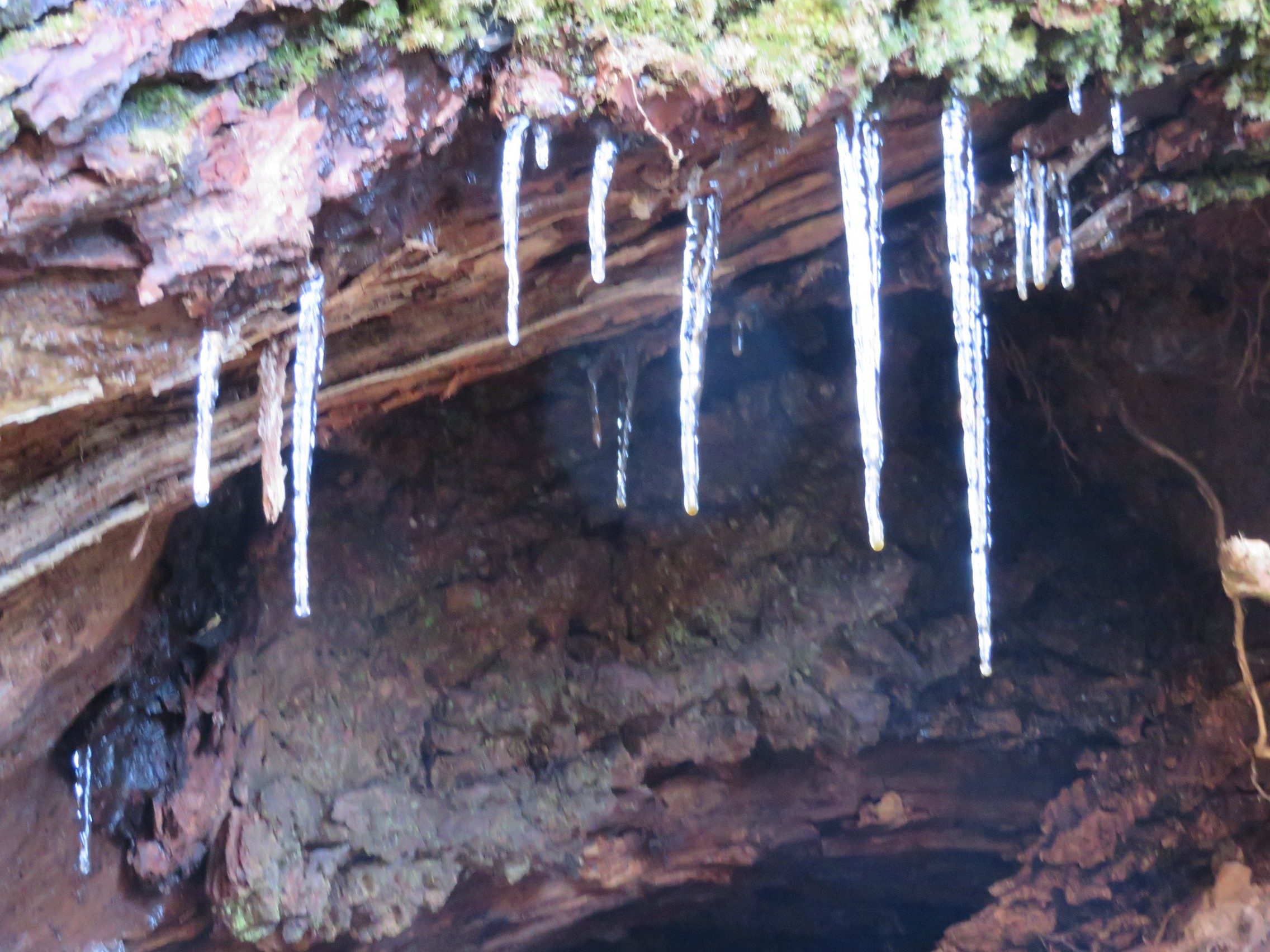 It was a bit cold today!