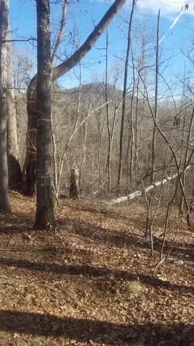 A view of Currahee Mountain from the eastern side of Frady Branch Loop