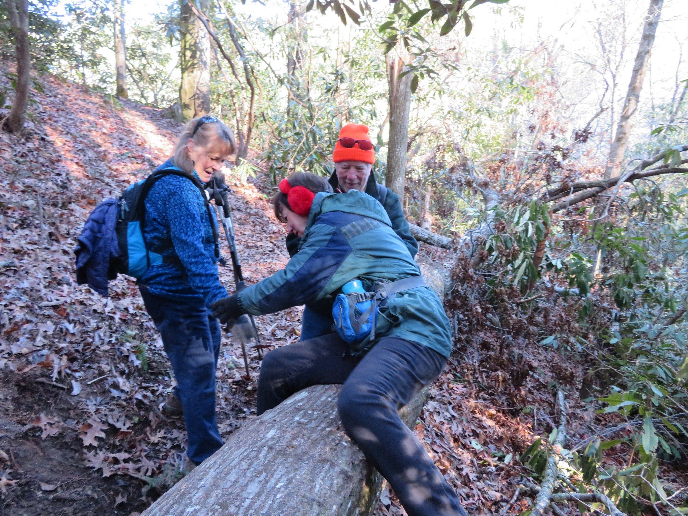 How many people does it take to get over a fallen tree?