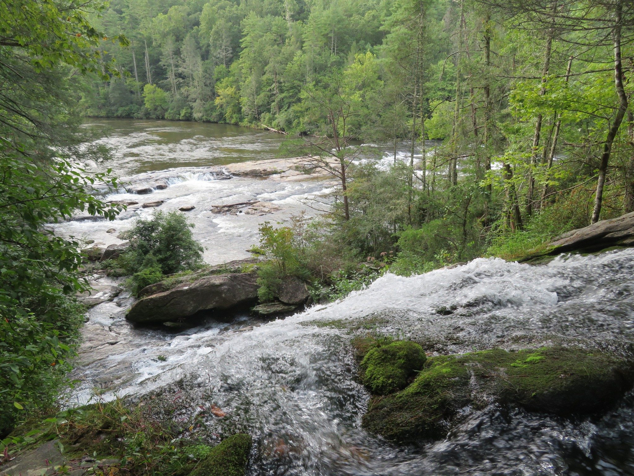 Looking over Dick's Creek Falls toward Chattooga River