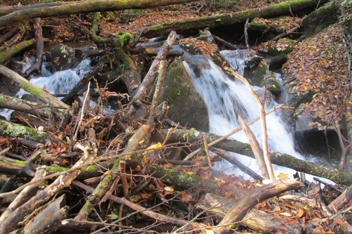 Kimsey Creek Trail