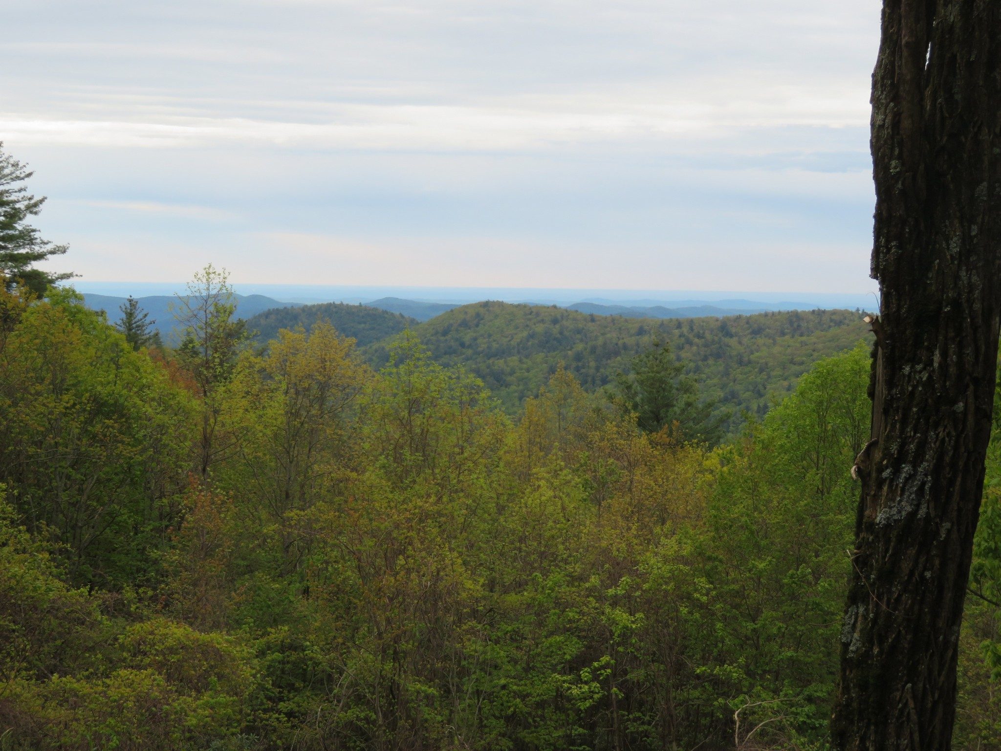 Overlook a Beginning of Trail
