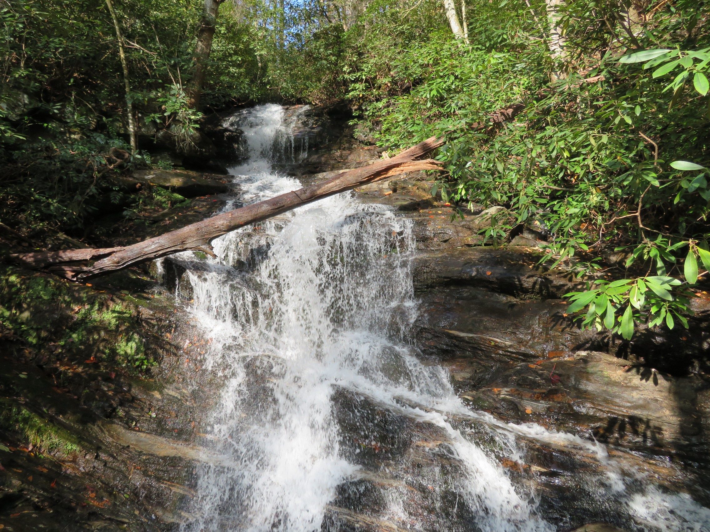 Becky Branch Falls from the bridge crossing below the falls.