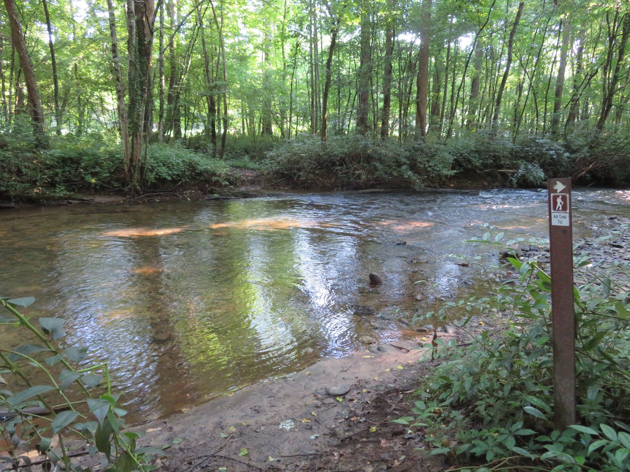 Looking Downstream from Dukes Creek Water Crossing