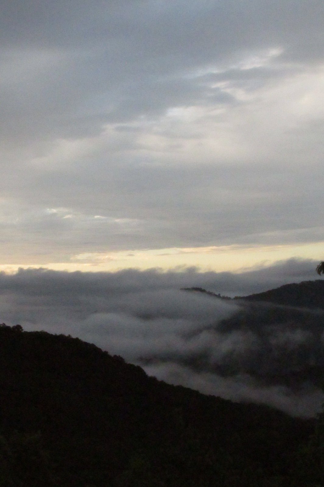 Morning photo from Dick Metzgar's back deck