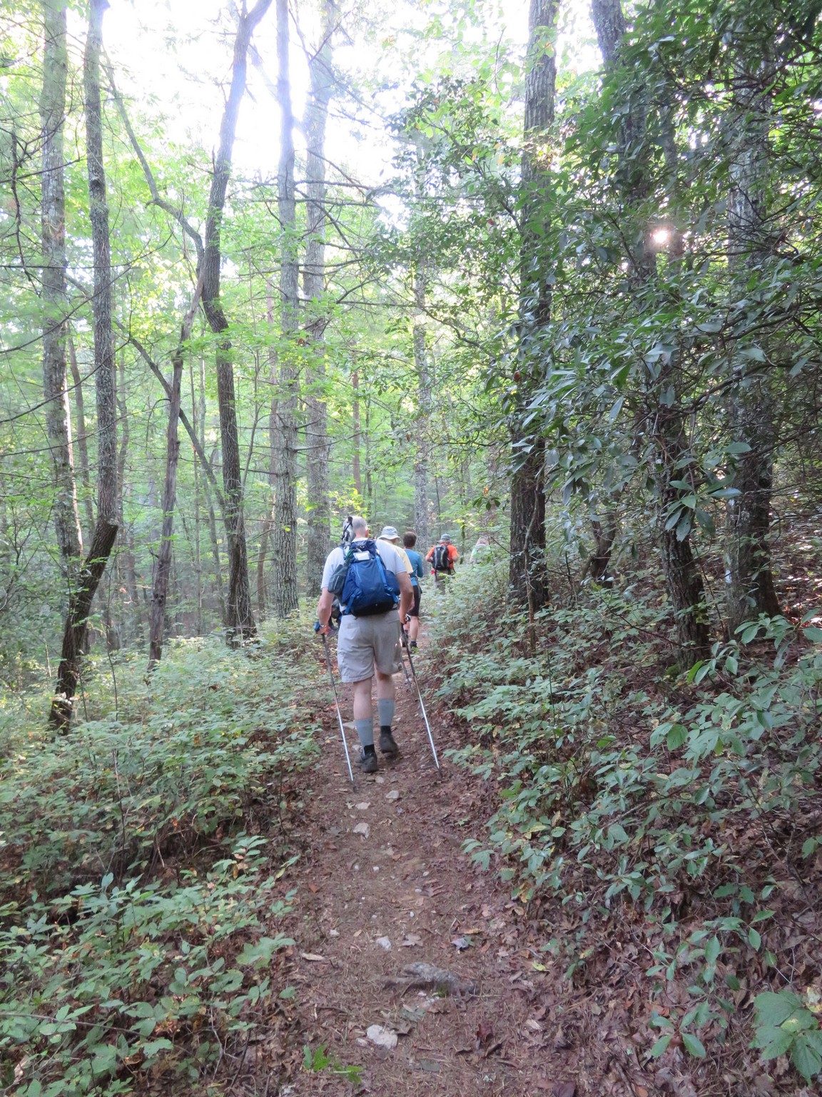 Typical trail conditions