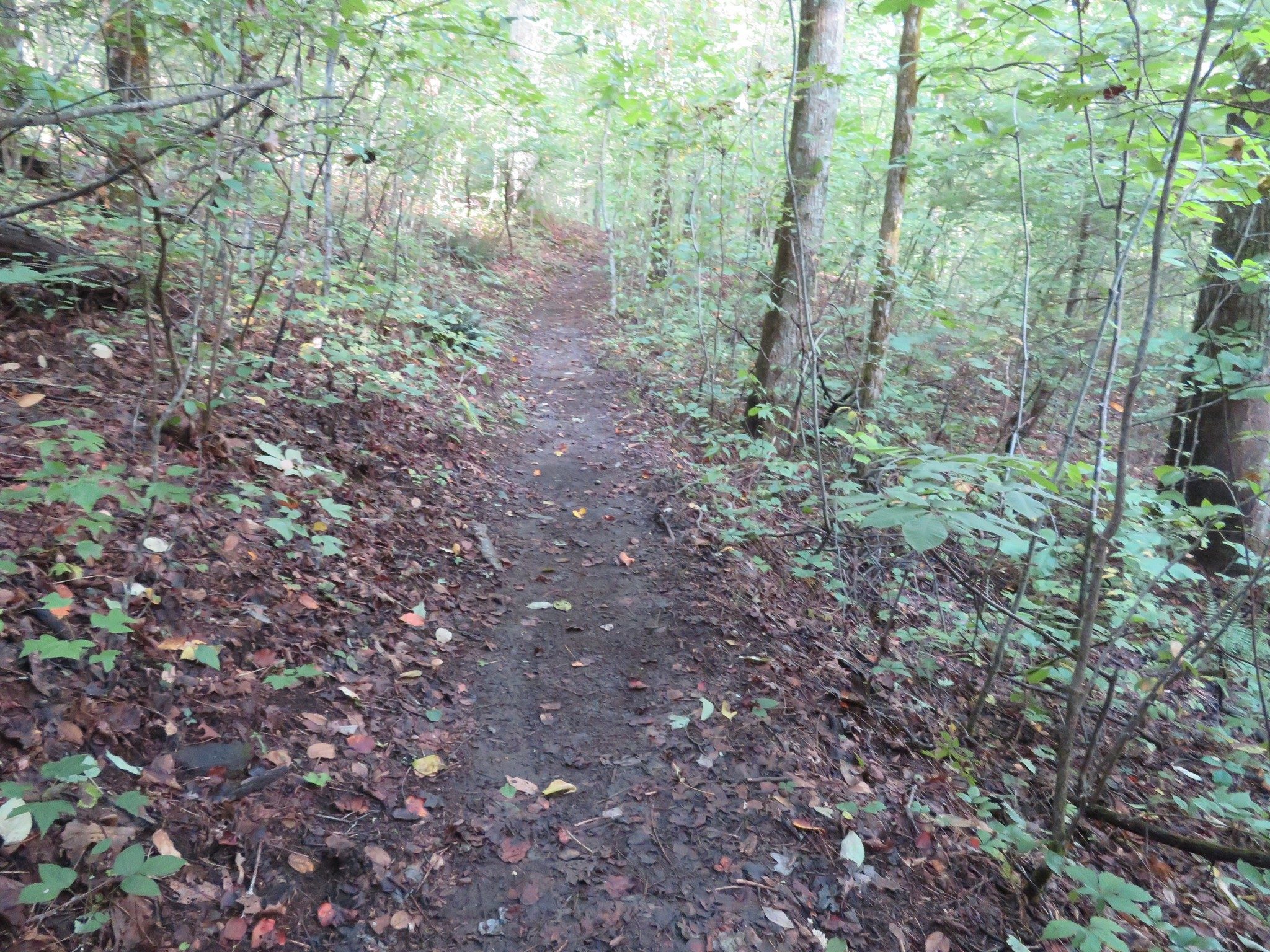 Typical trail conditions at the beginning of the hike