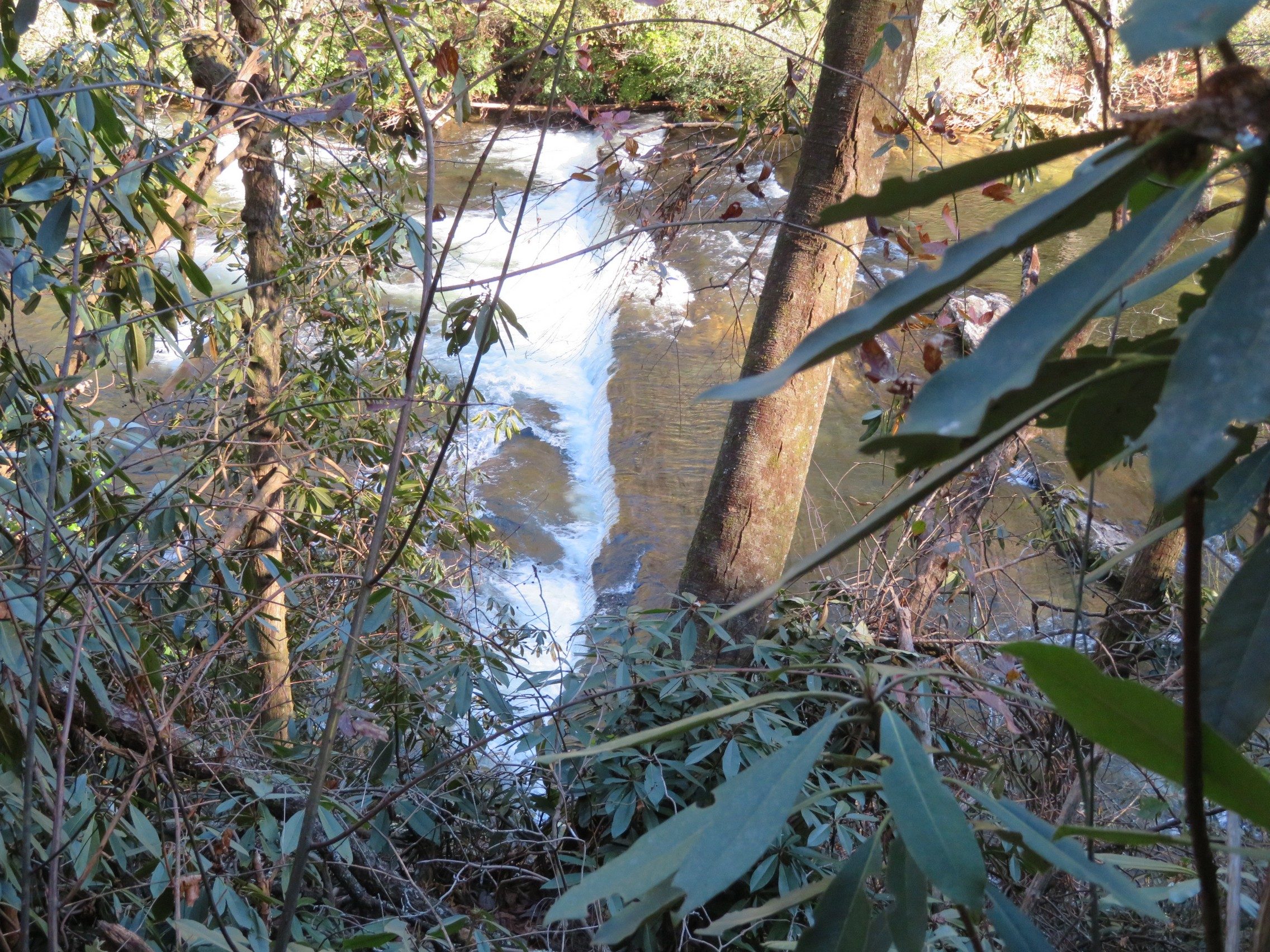 A short falls over a continuous rock ledge across the Chattooga River
