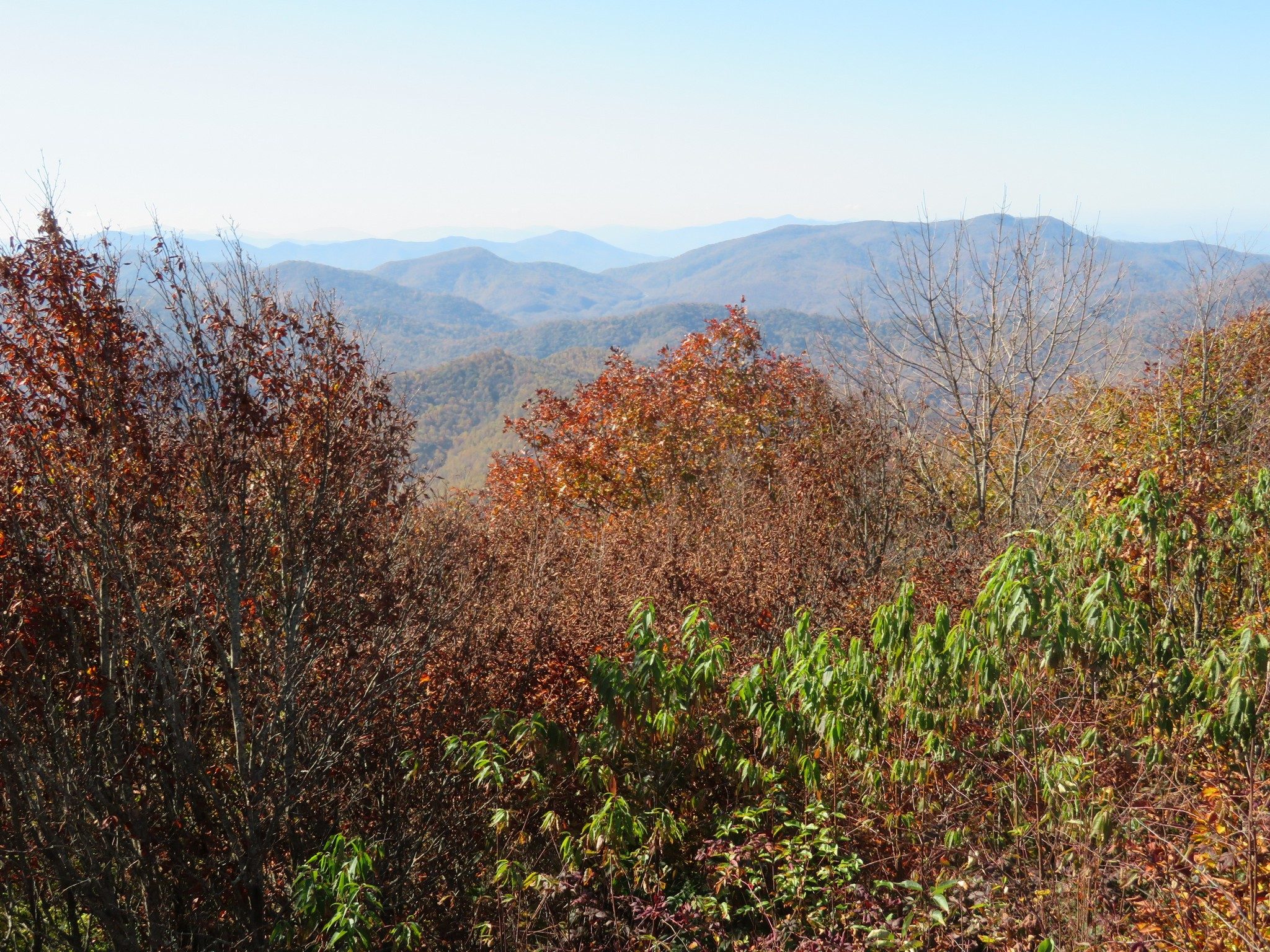 View to Southwest from Siler Bald