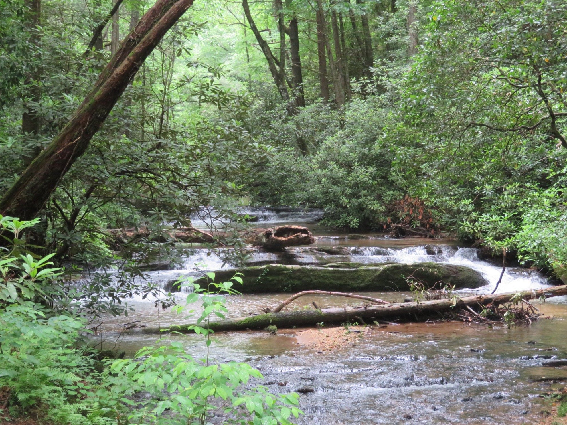 Turner Creek with rapids