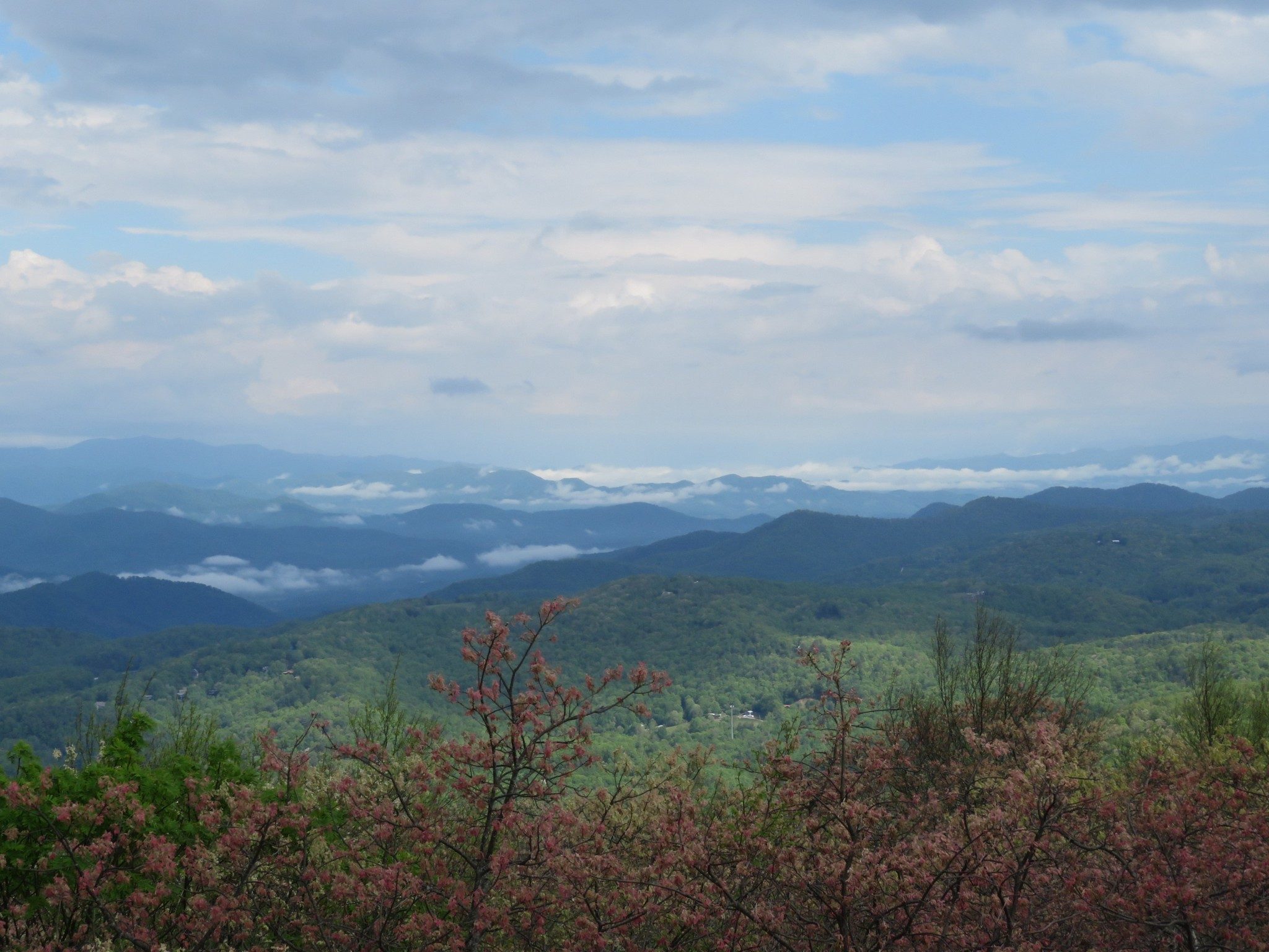 View from the observation tower.