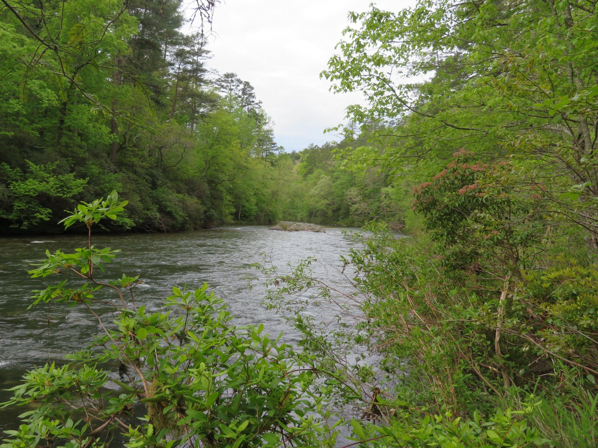 Chattooga River at 18.Miles