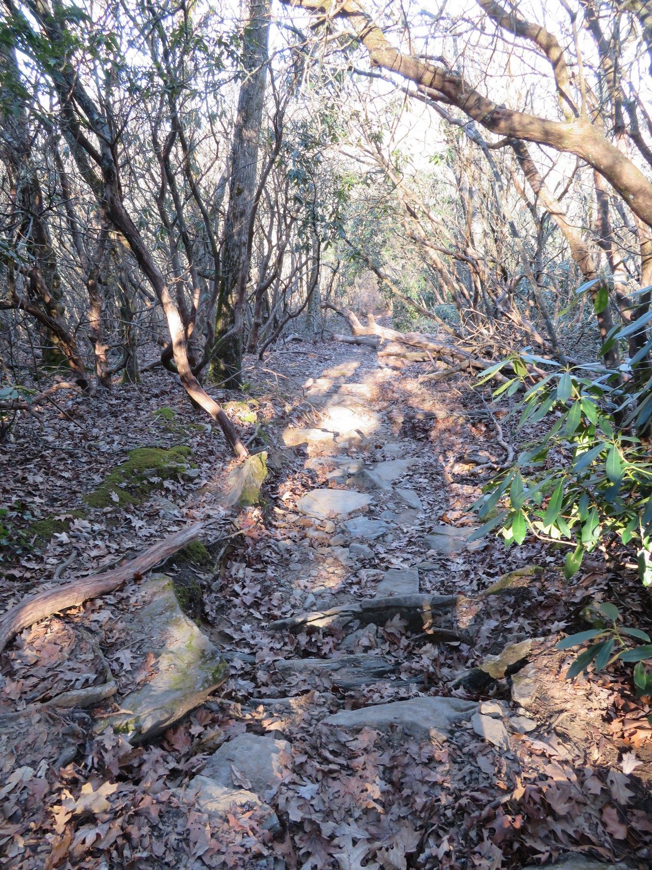 Typical trail conditions