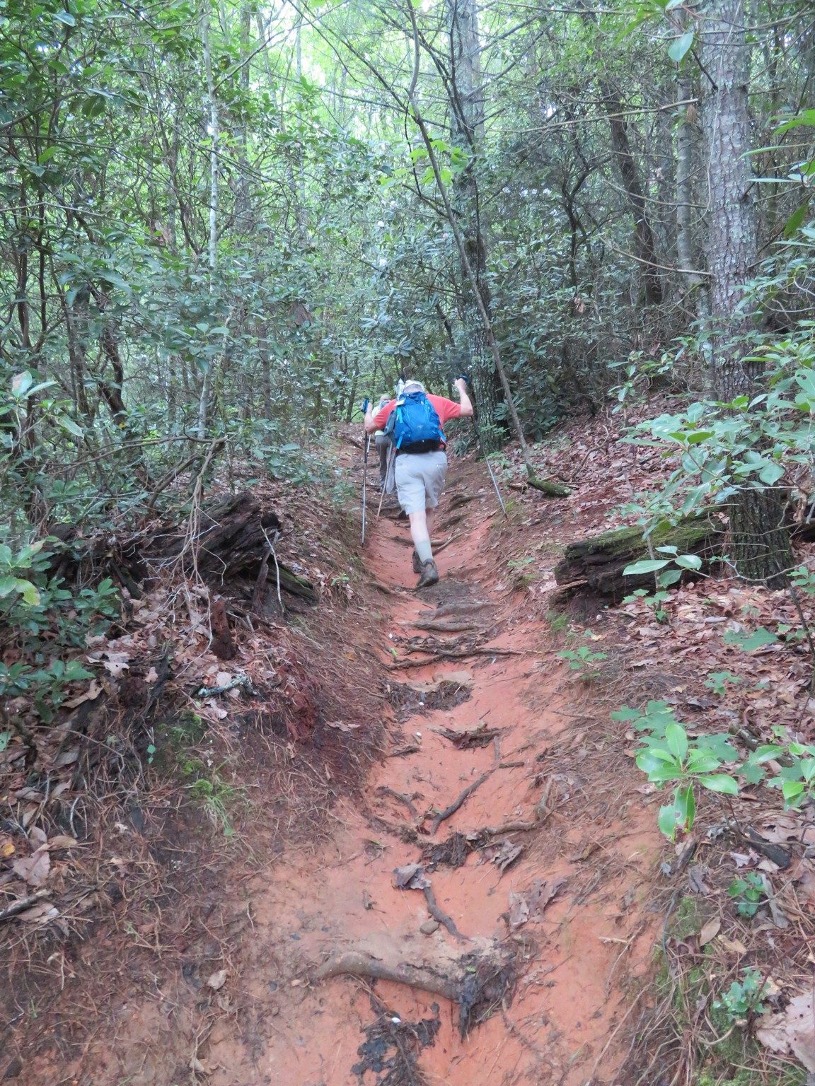 Initial climb from the Black Rock Lake parking area