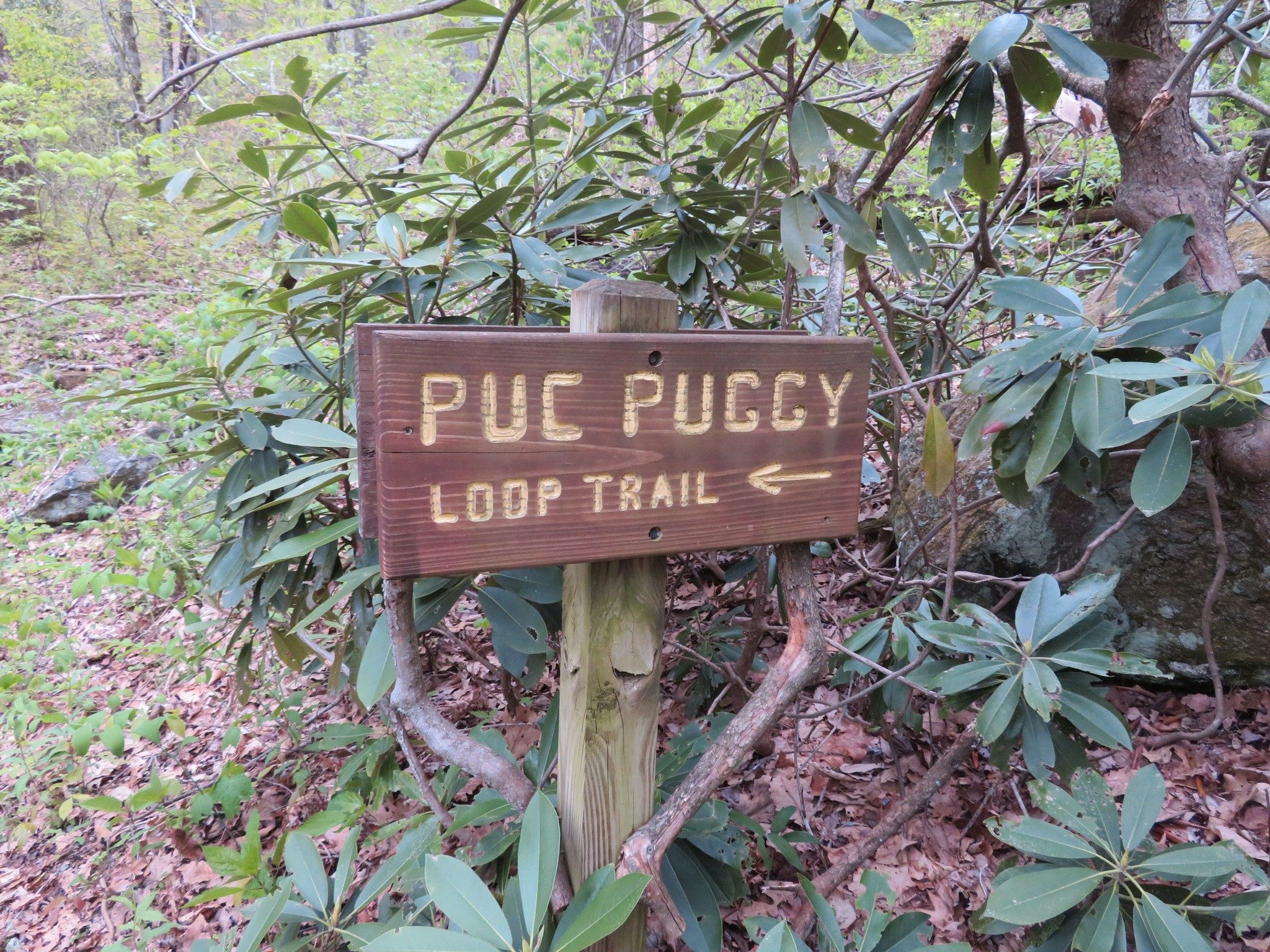 Side Loop near the Trailhead