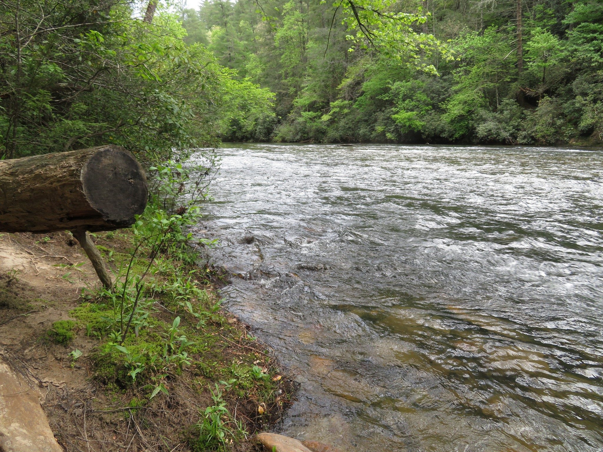 Chattooga River at Big Island