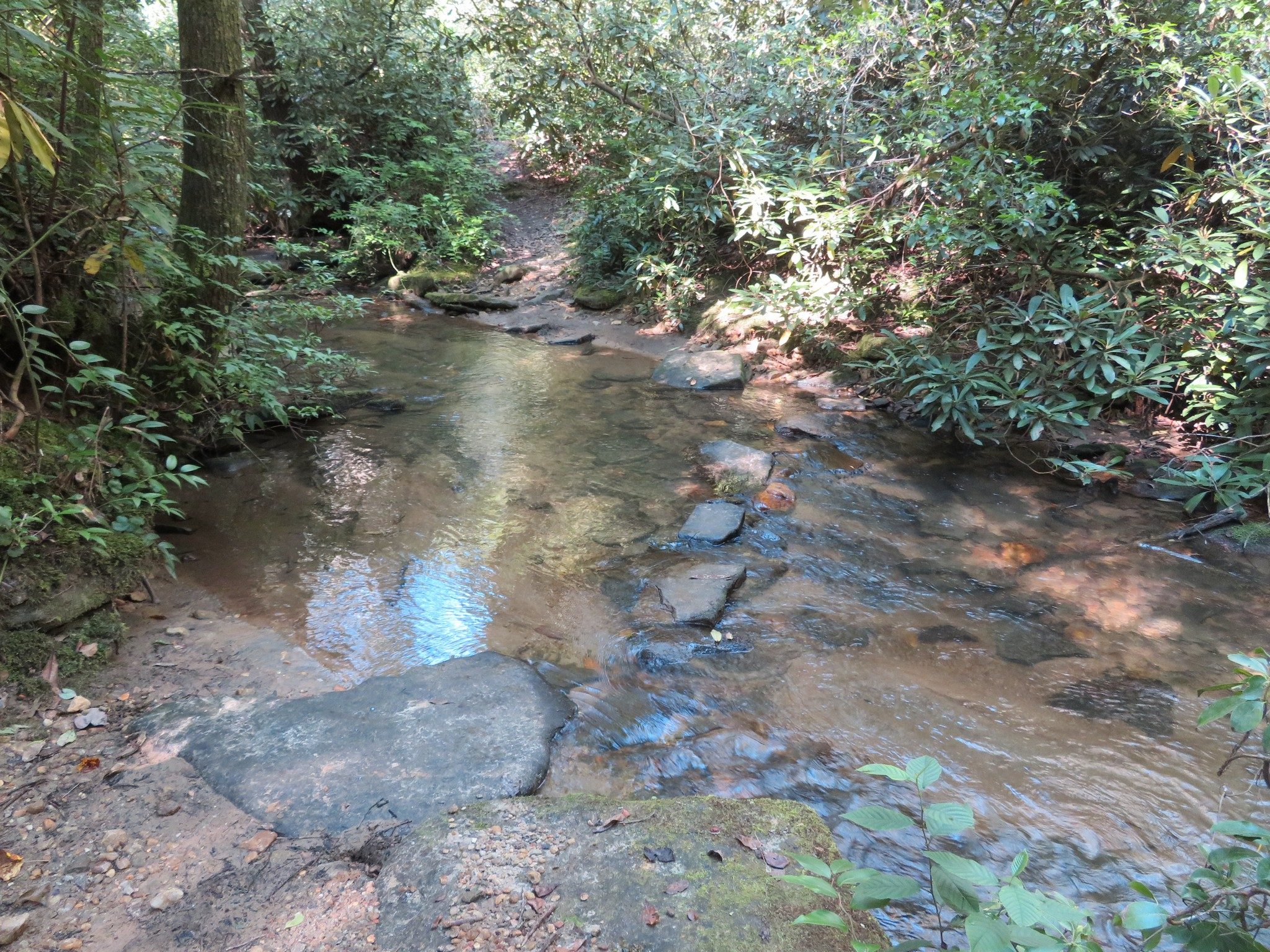 Easy crossing of Stonewall Creek