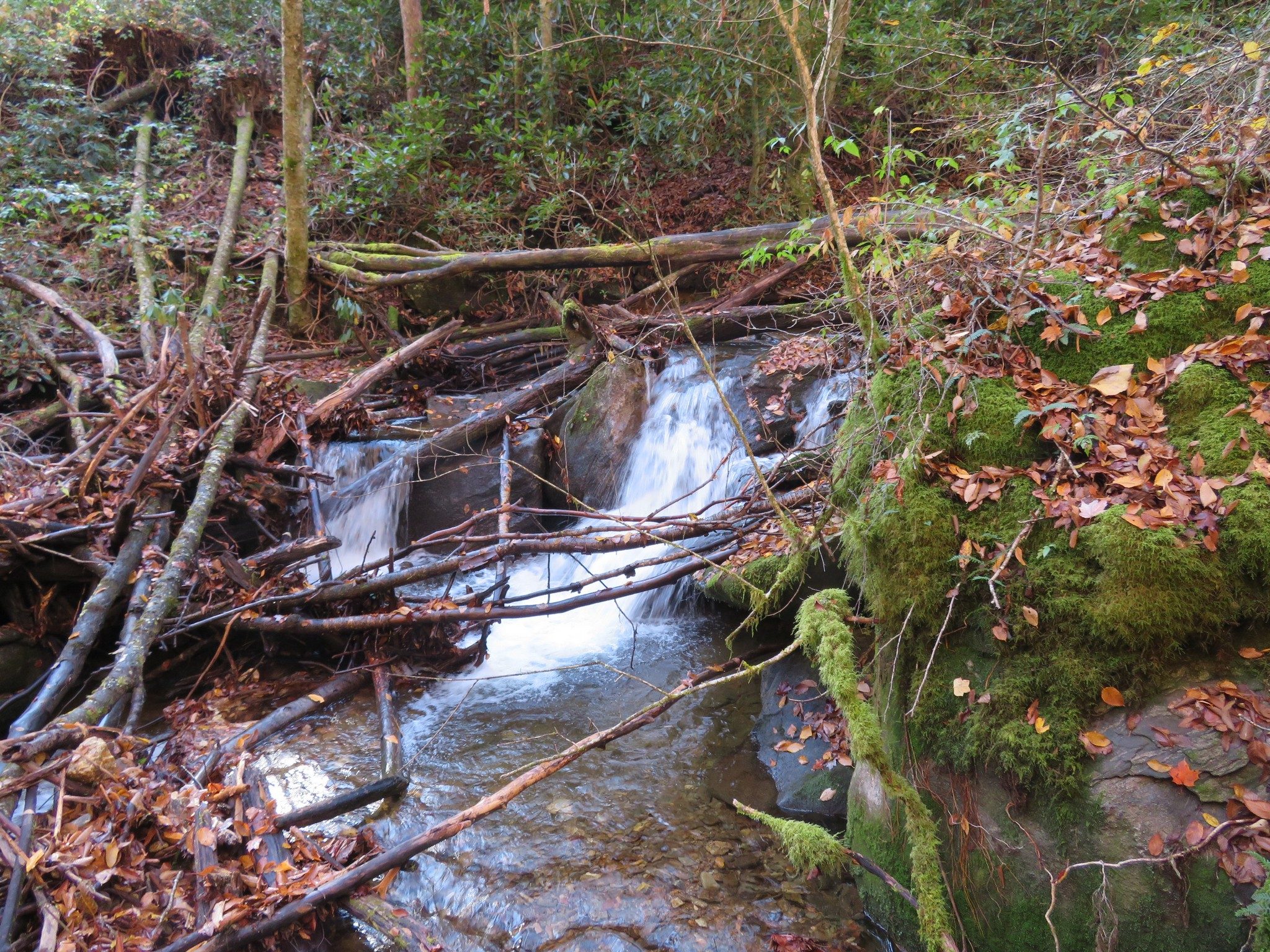 Another cascade along Kimsey Creek Trail