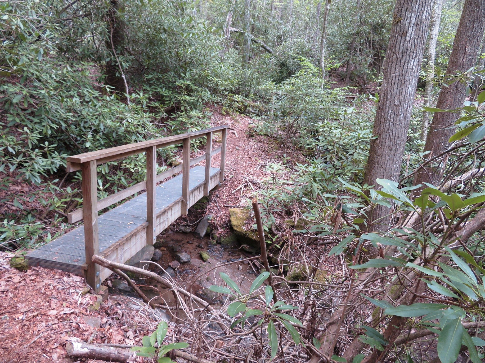 One of Many Nice Bridges Along Trail