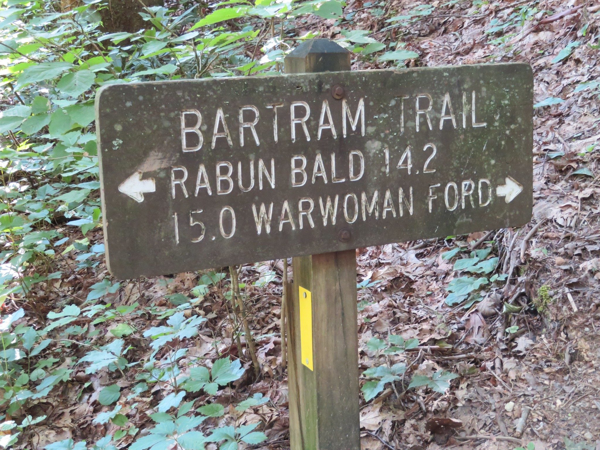 Start of the Bartram Trail from Warwoman Dell