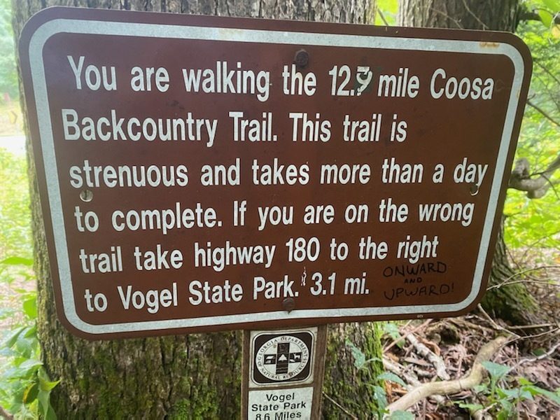 A last warning to someone off-track!