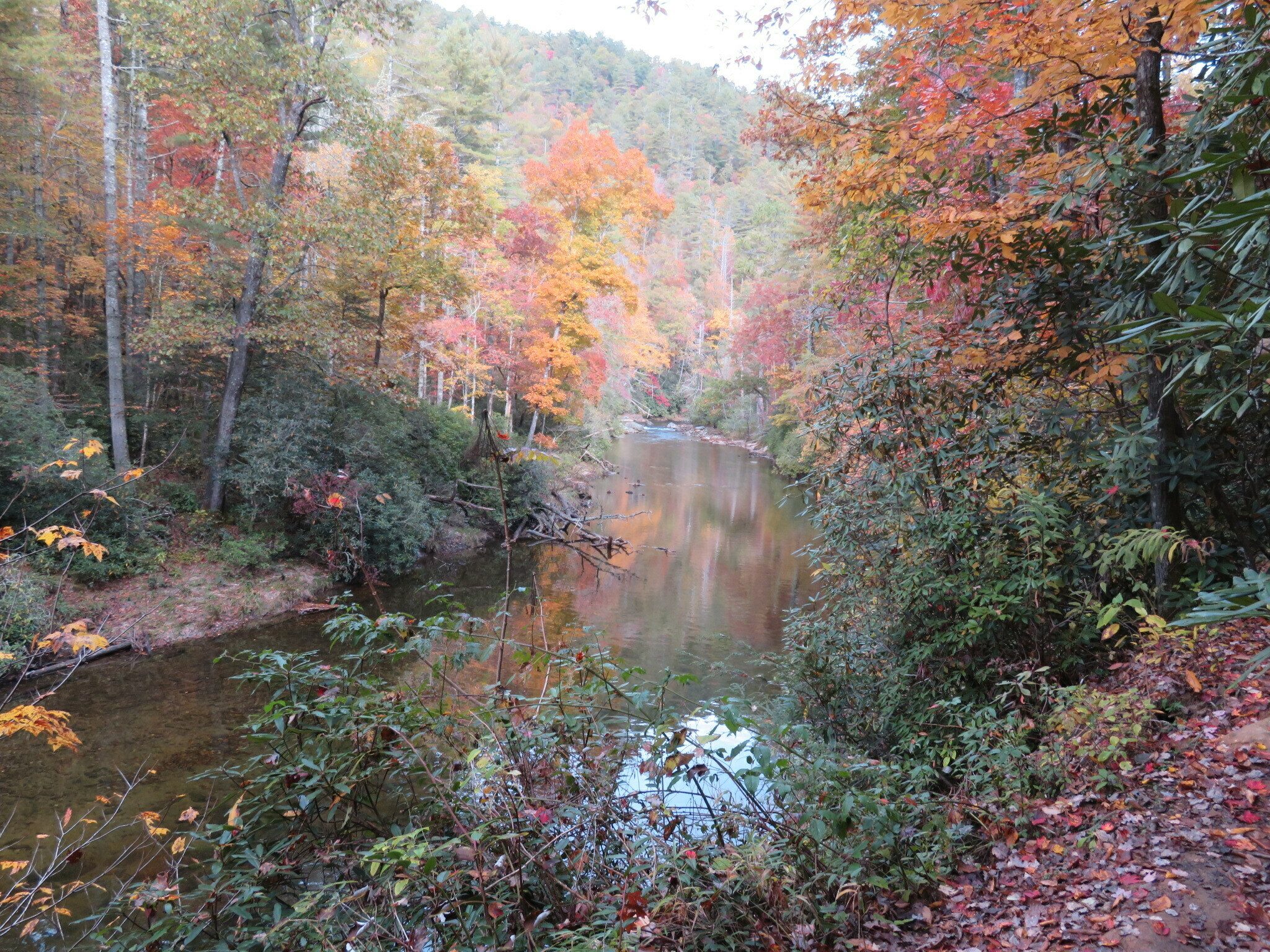 A nice view toward the end of the hike.
