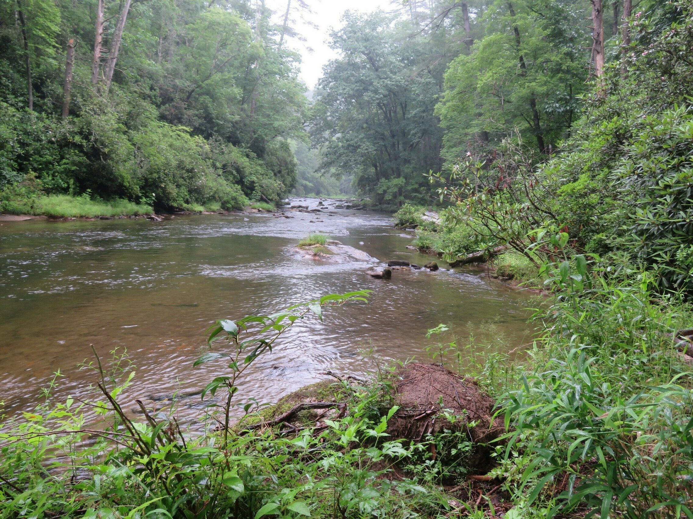 Chattooga River view.