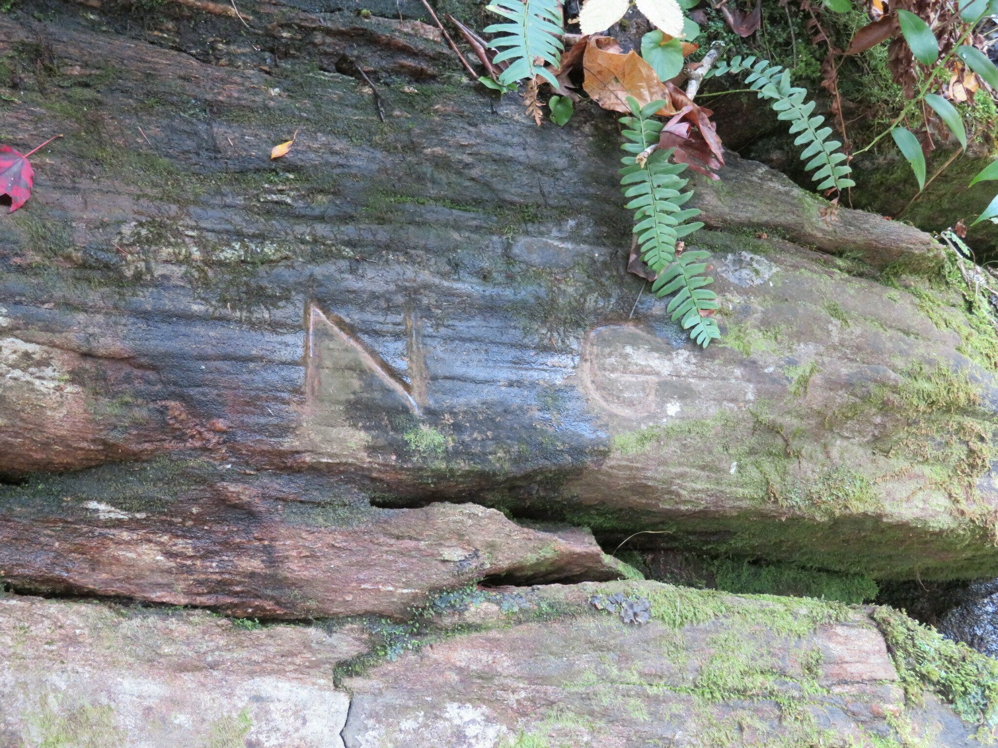 John Cape pointed out the location of the original Ellicott Rock.  Mission accomplished !