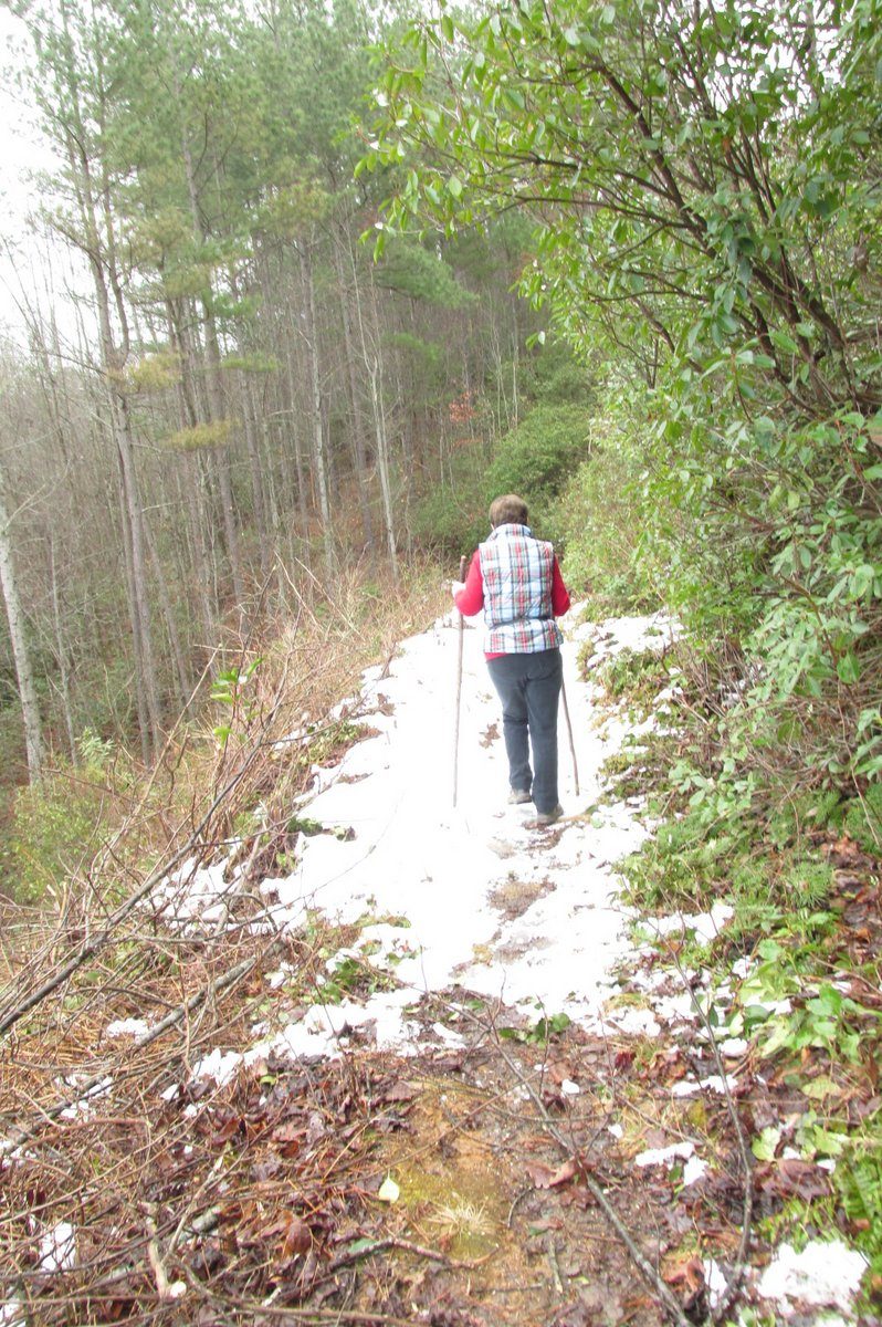 Jenny walking through a small patch of snow left from the weekend.
